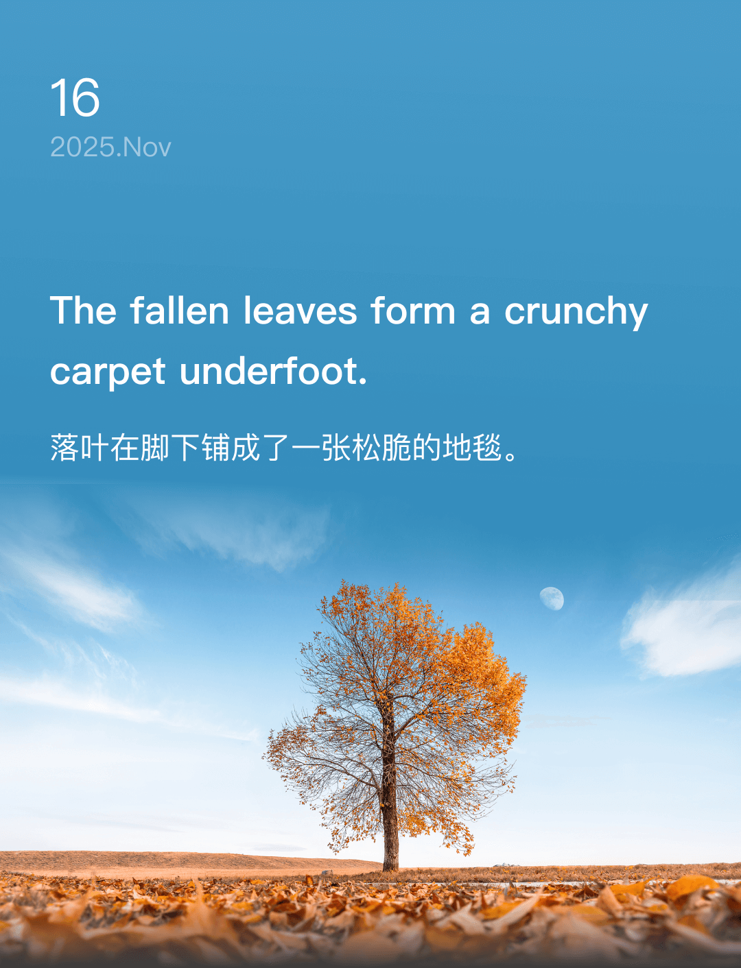 词霸每日一句