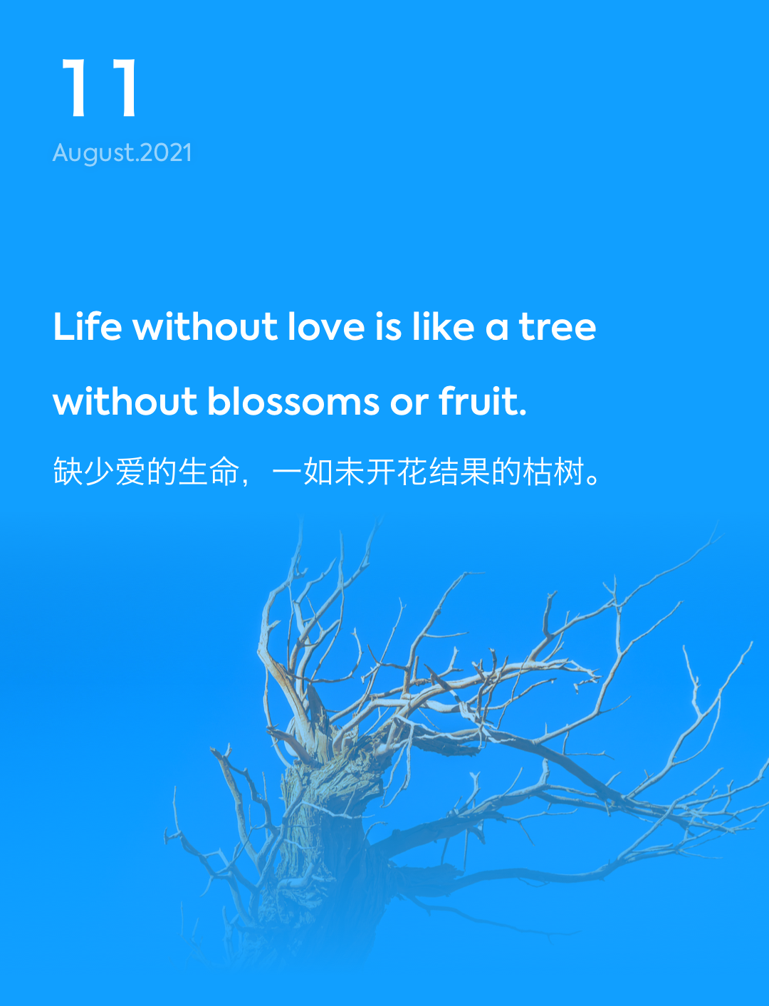 词霸每日一句