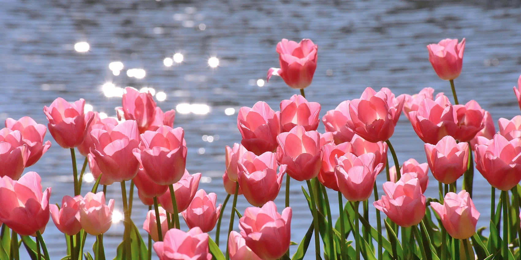 「2025-12-23」In the mundane everyday, there is still a glimmer of light.美图壁纸