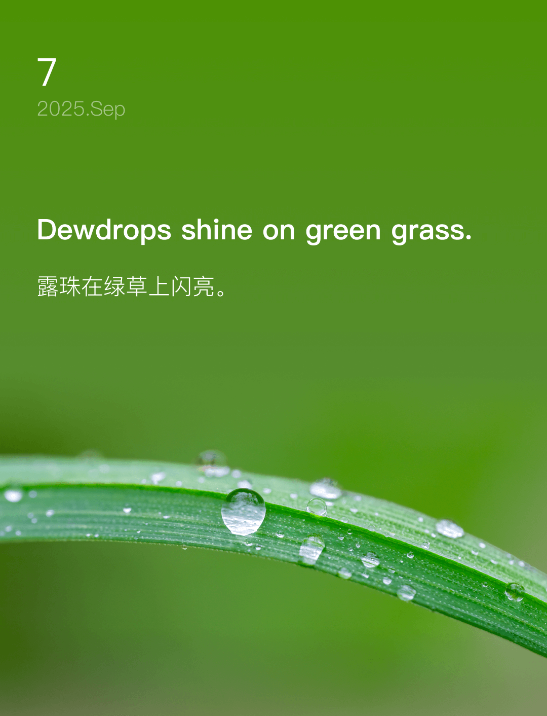 词霸每日一句
