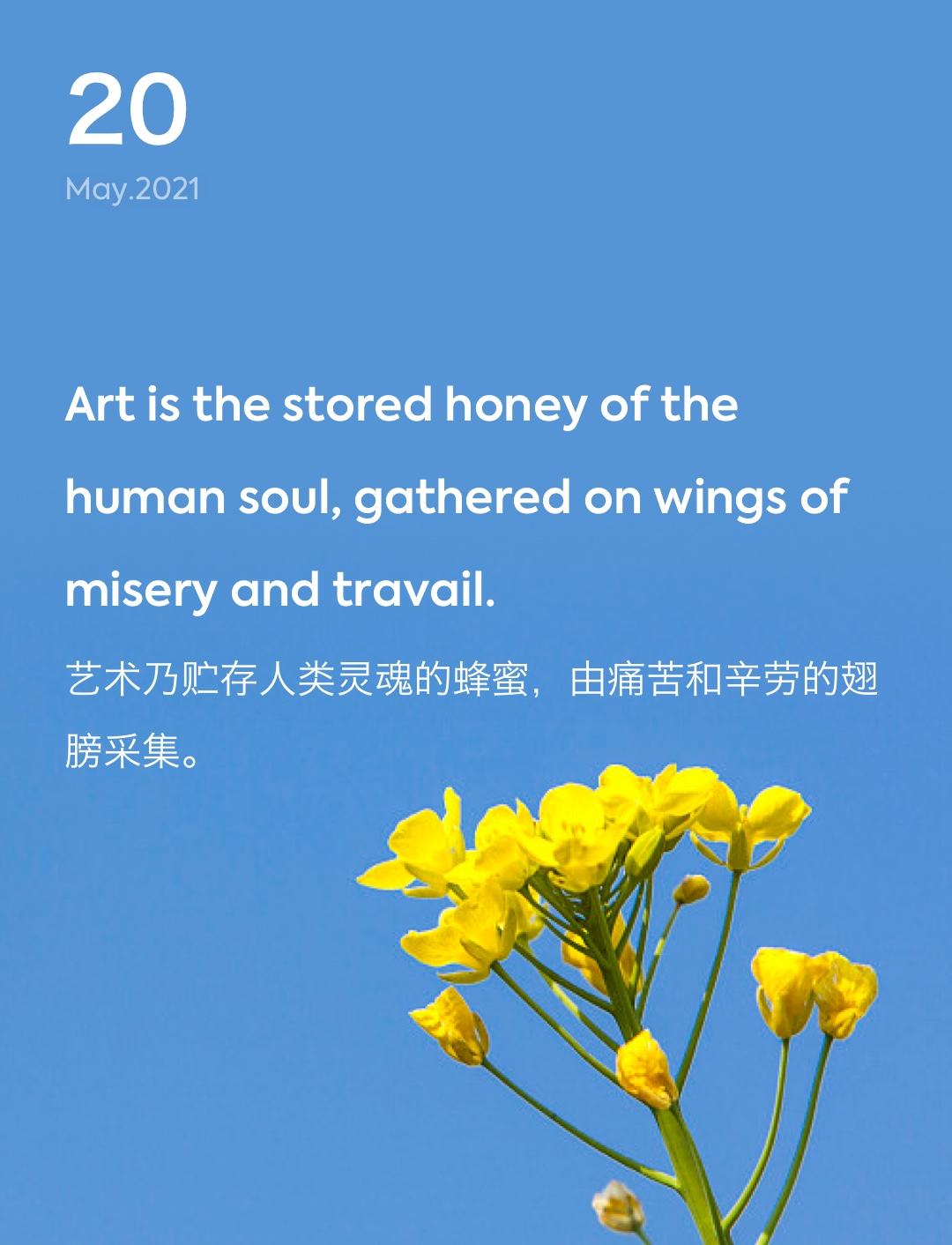 词霸每日一句