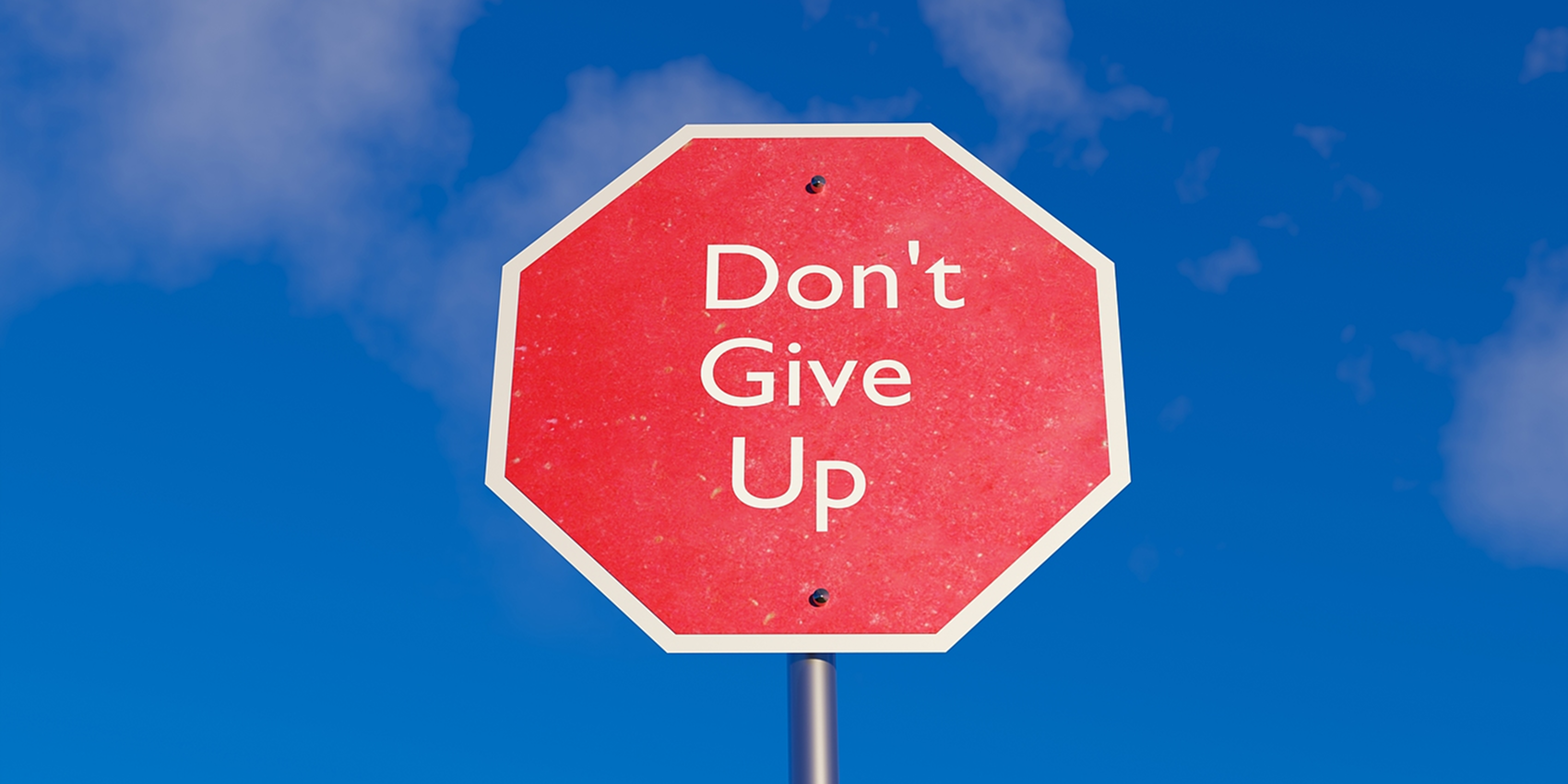 「2025-12-11」Even if ordinary and clumsy, not giving up is itself a shining point.美图壁纸