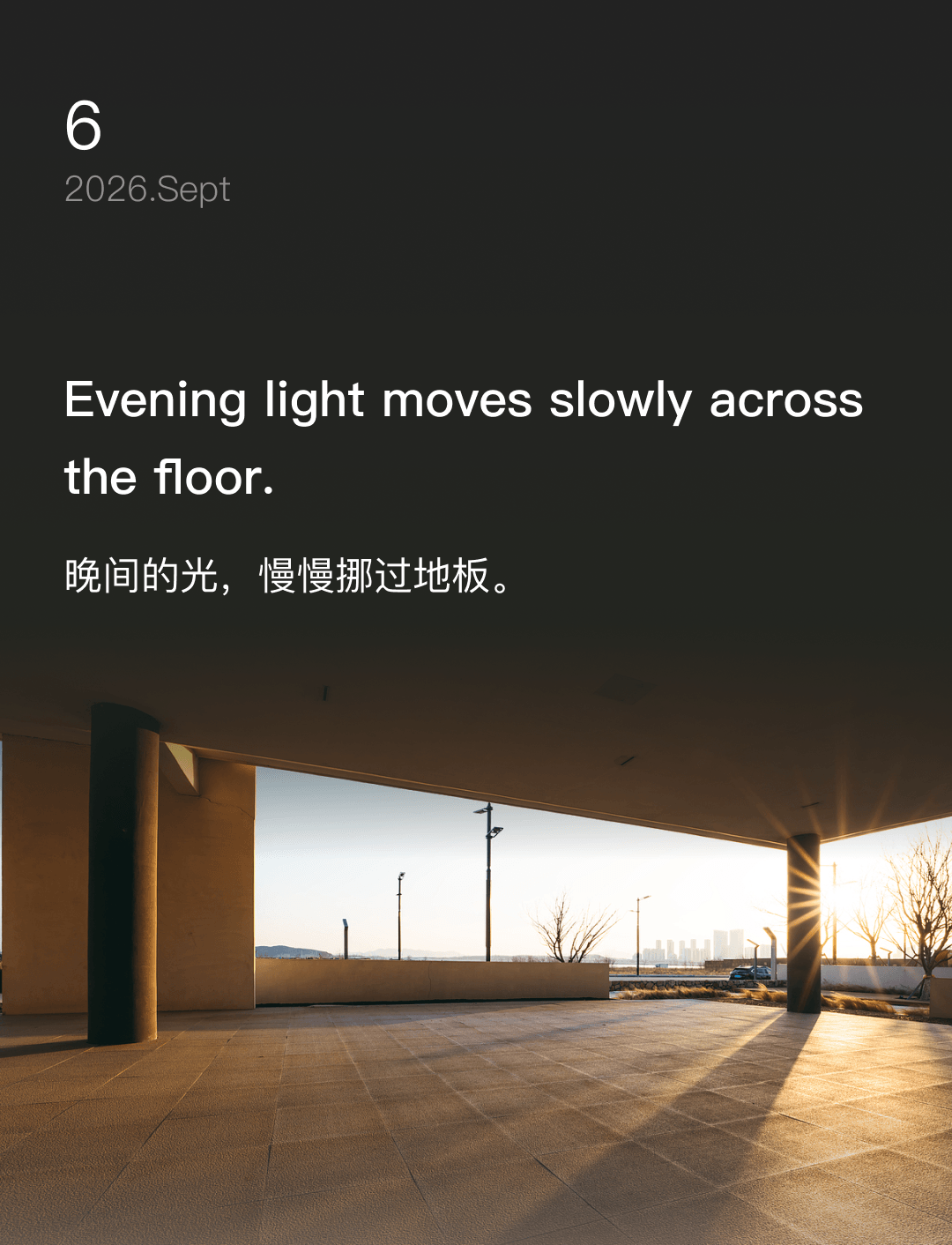 Evening light moves slowly across the floor.