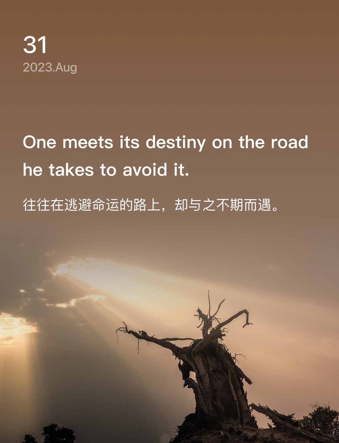 词霸每日一句