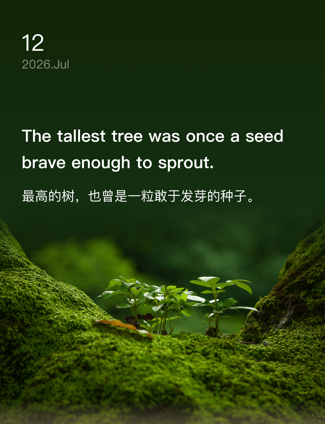 The tallest tree was once a seed brave enough to sprout.