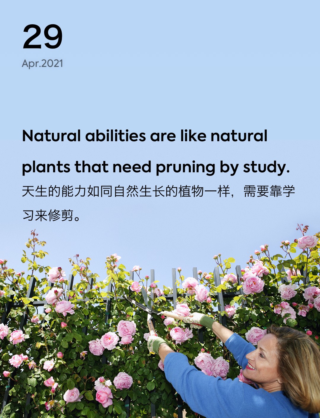 词霸每日一句
