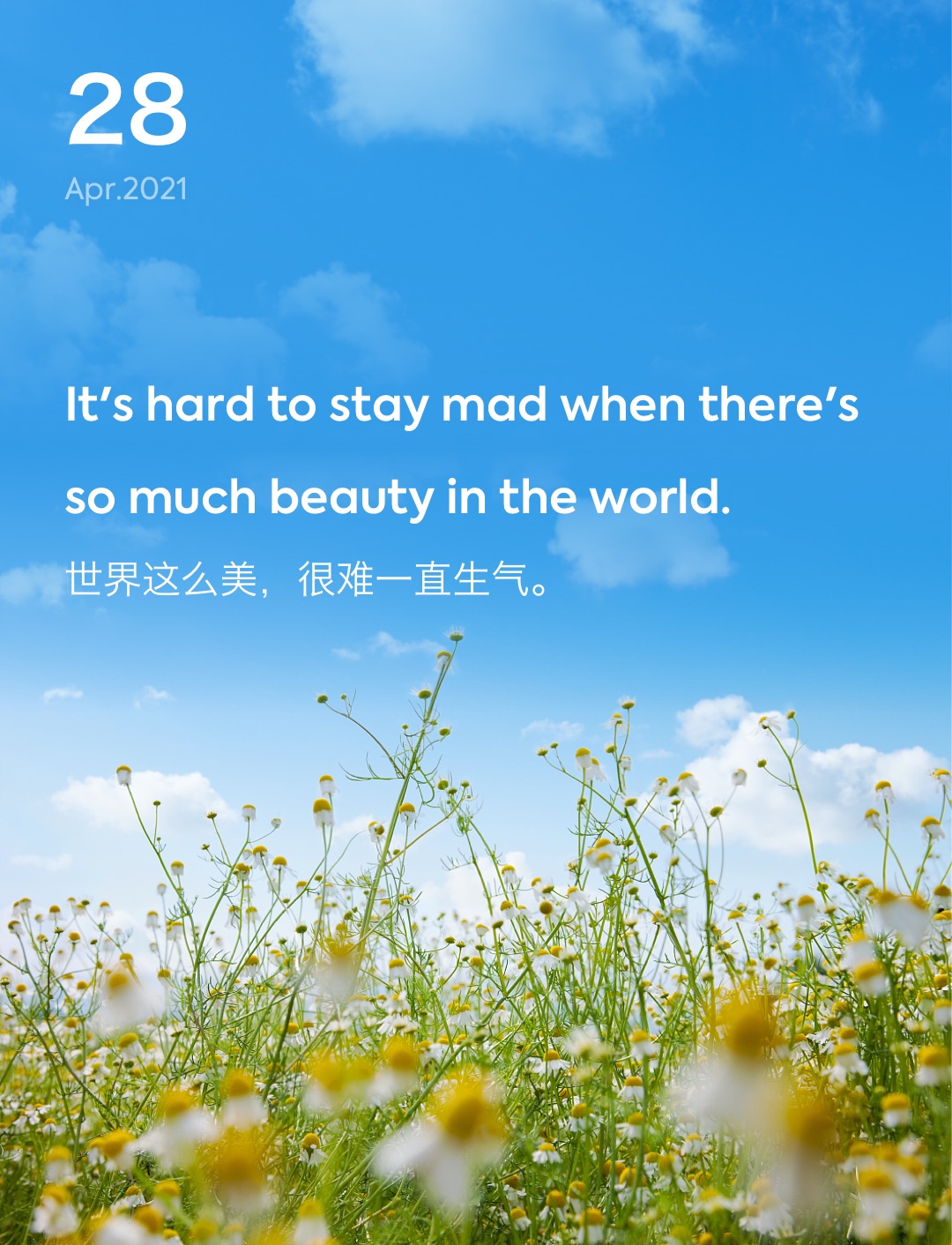 词霸每日一句