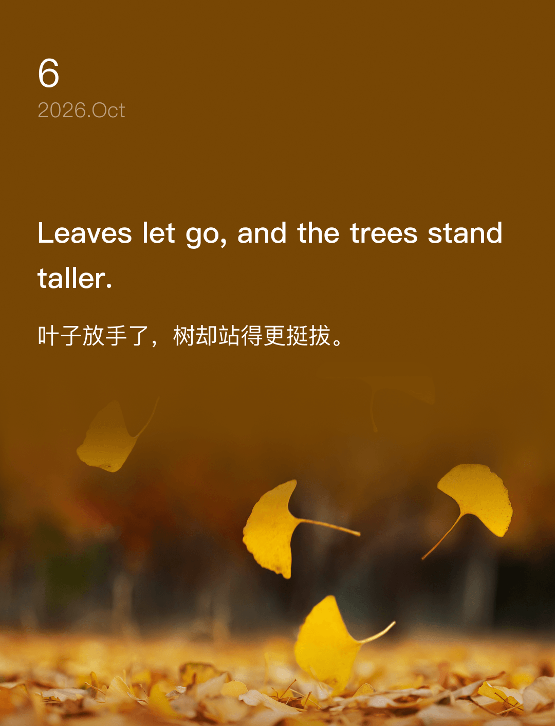 Leaves let go, and the trees stand taller.