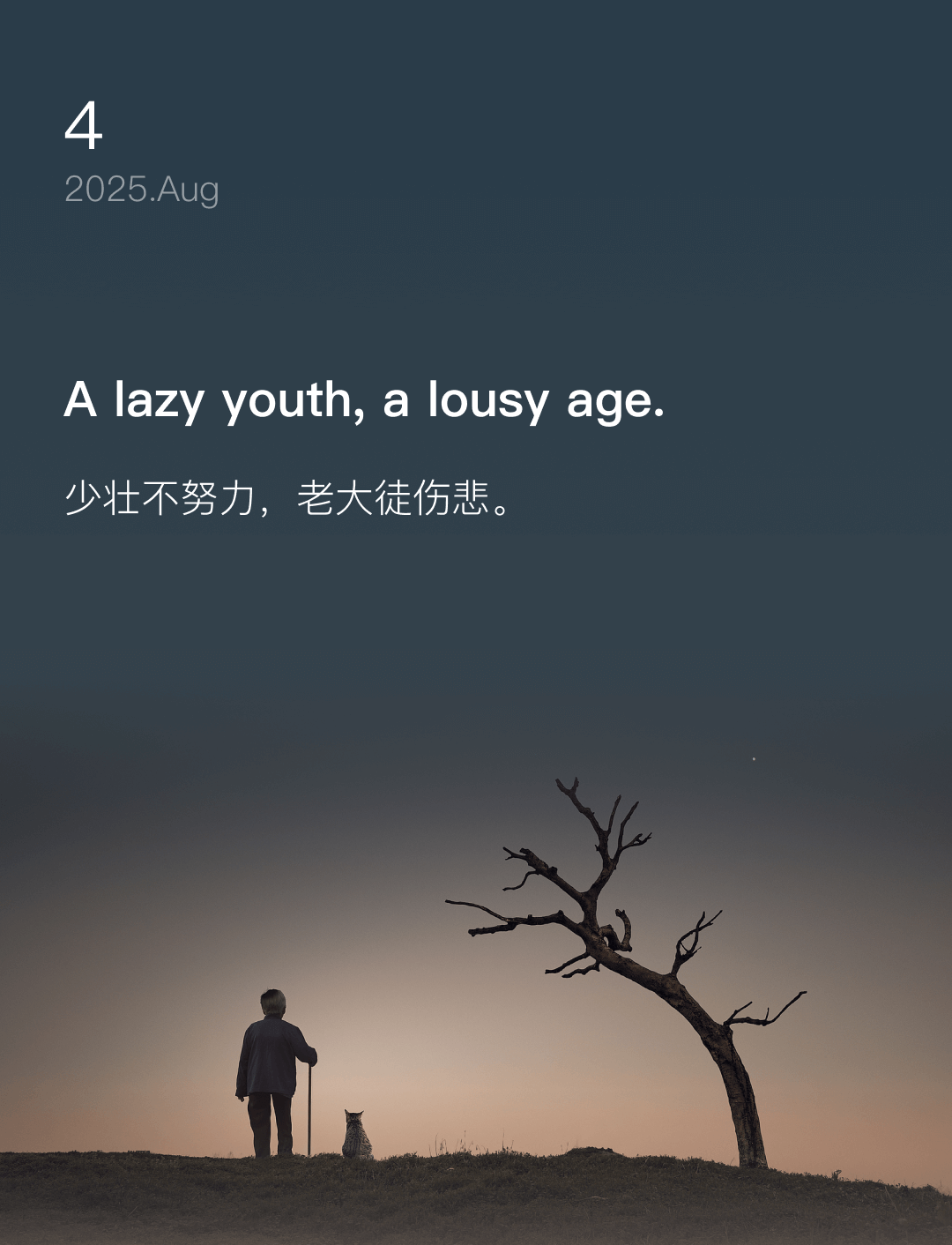 词霸每日一句