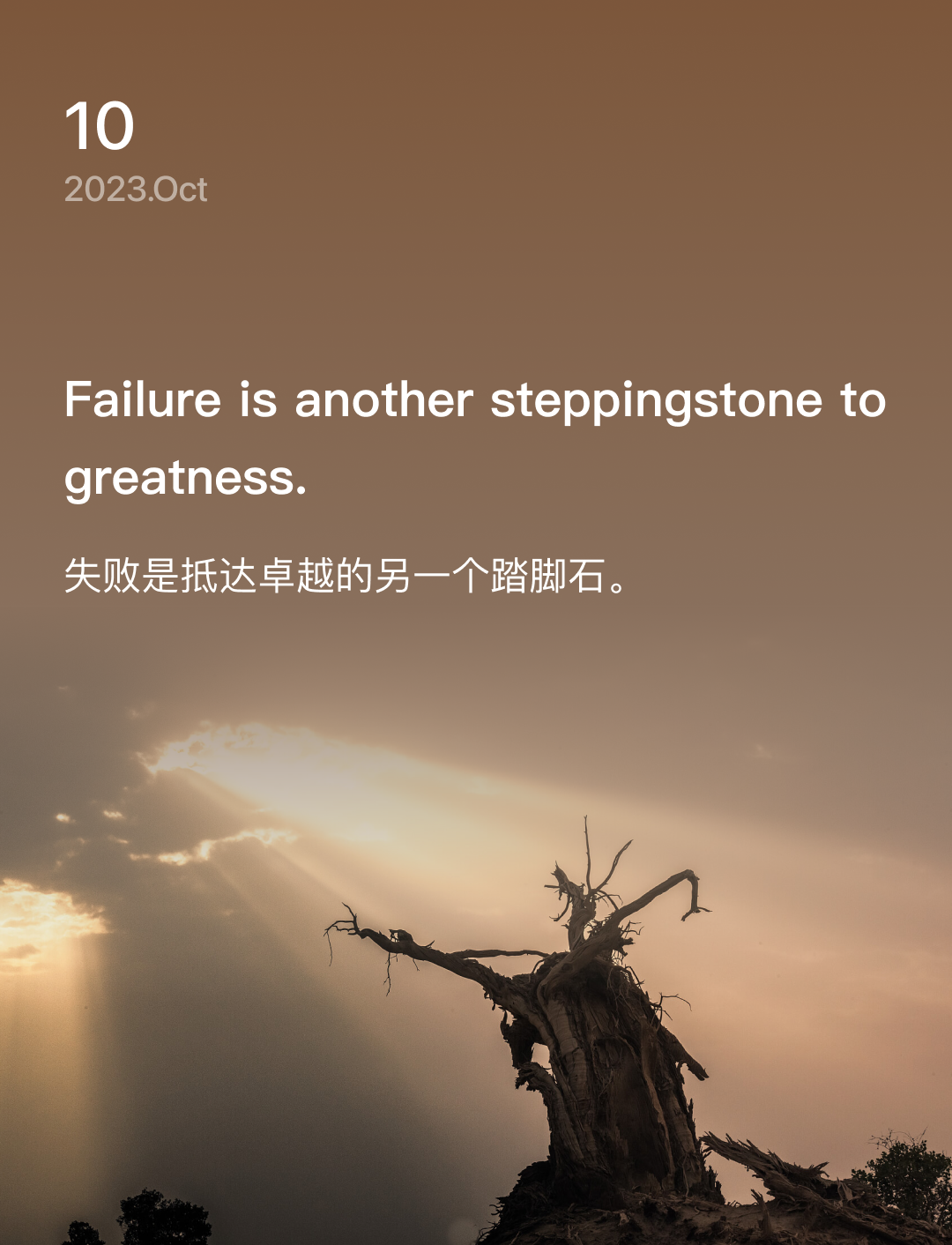 词霸每日一句