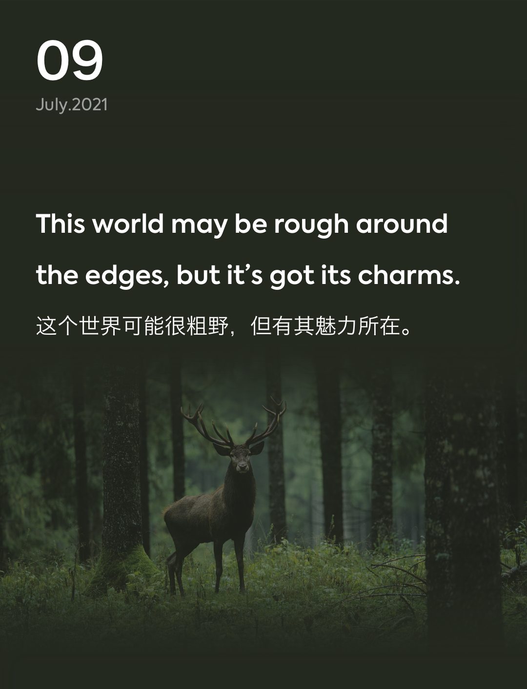 词霸每日一句