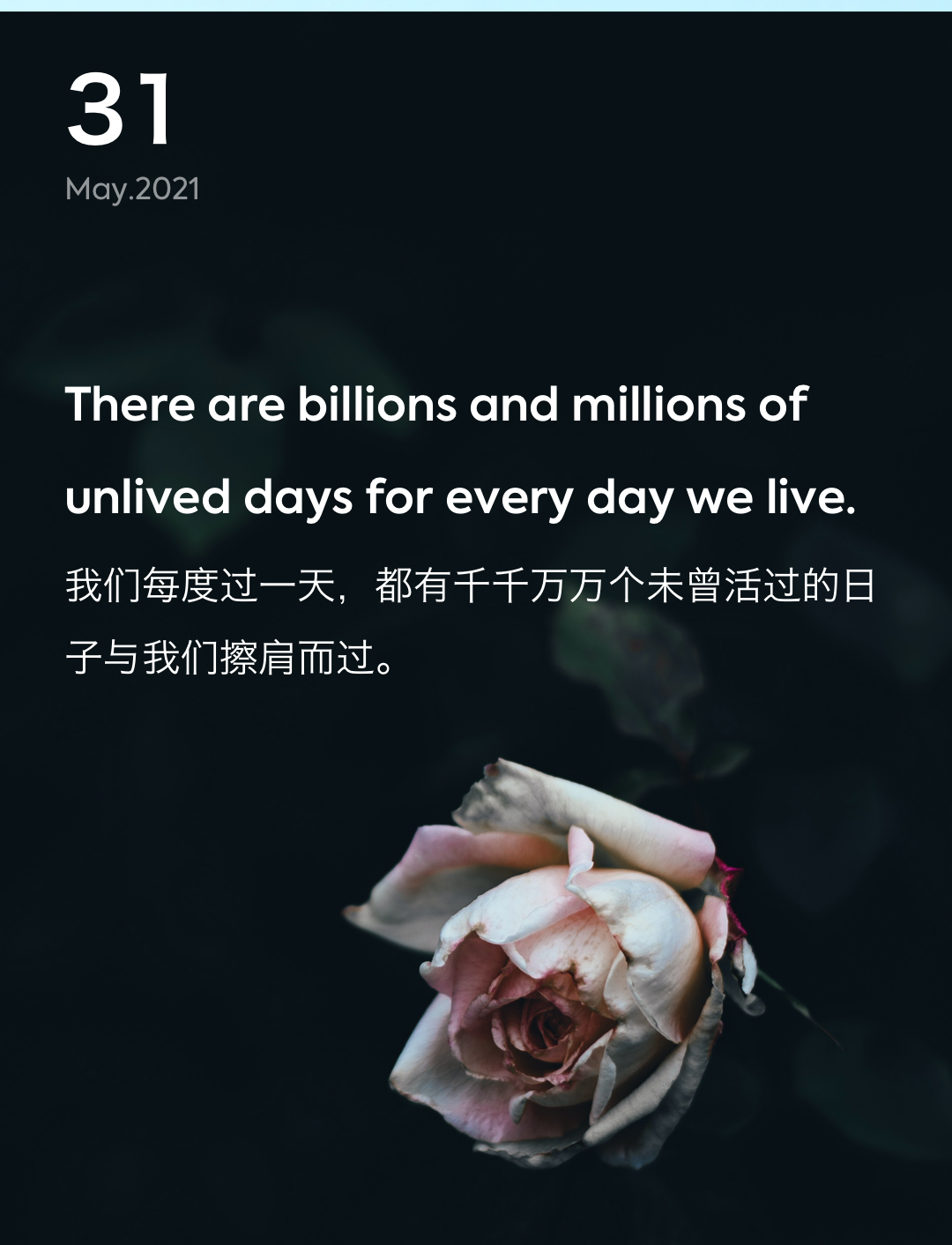 词霸每日一句