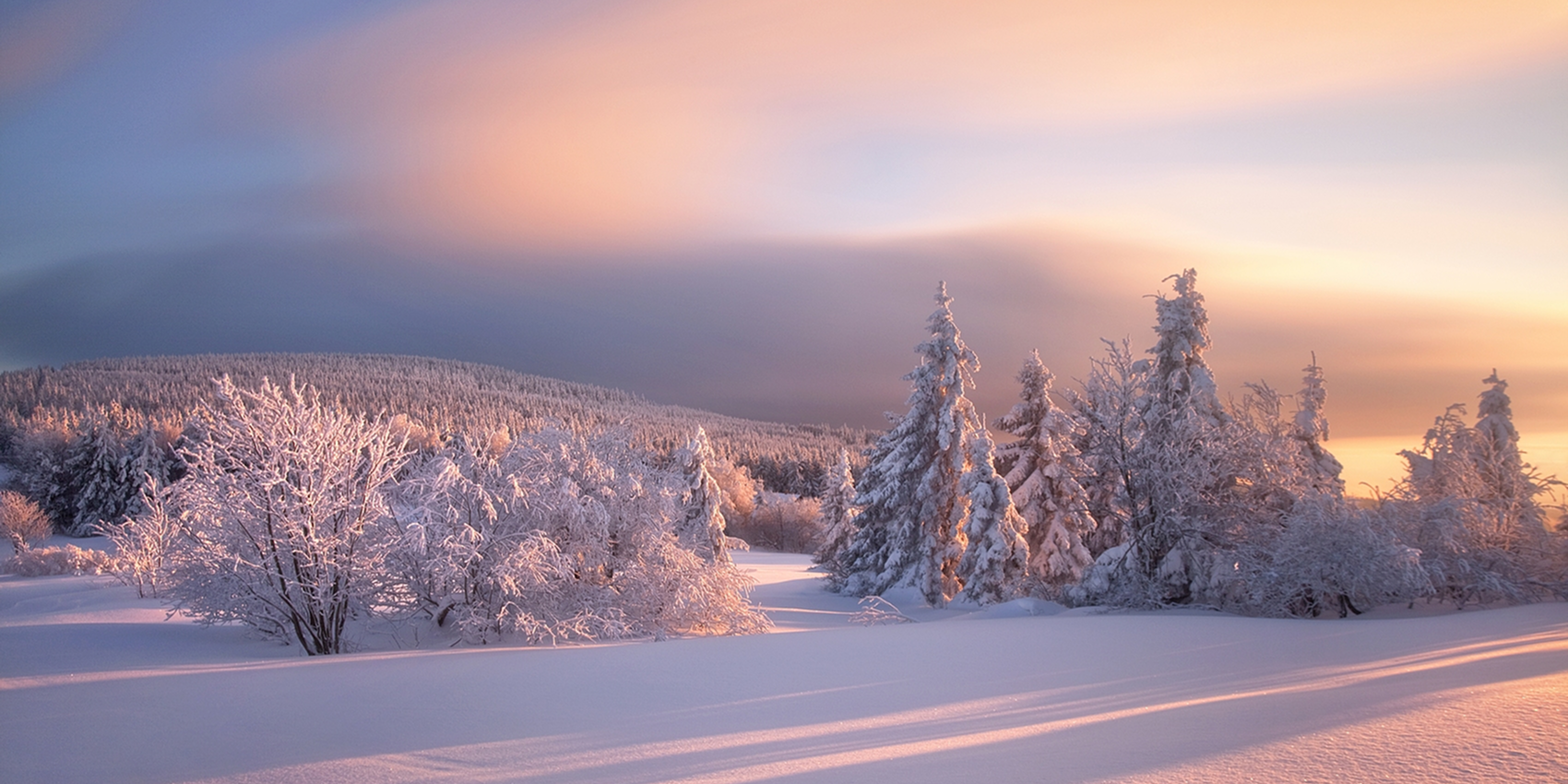 Listen to the wind rise, watch the snow fall— All things have their time