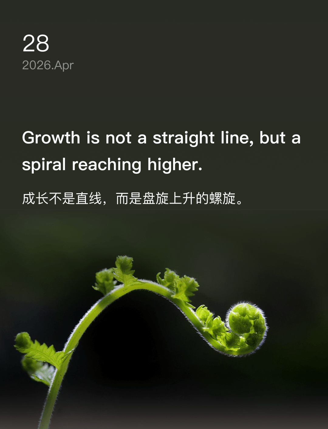Growth is not a straight line, but a spiral reaching higher.