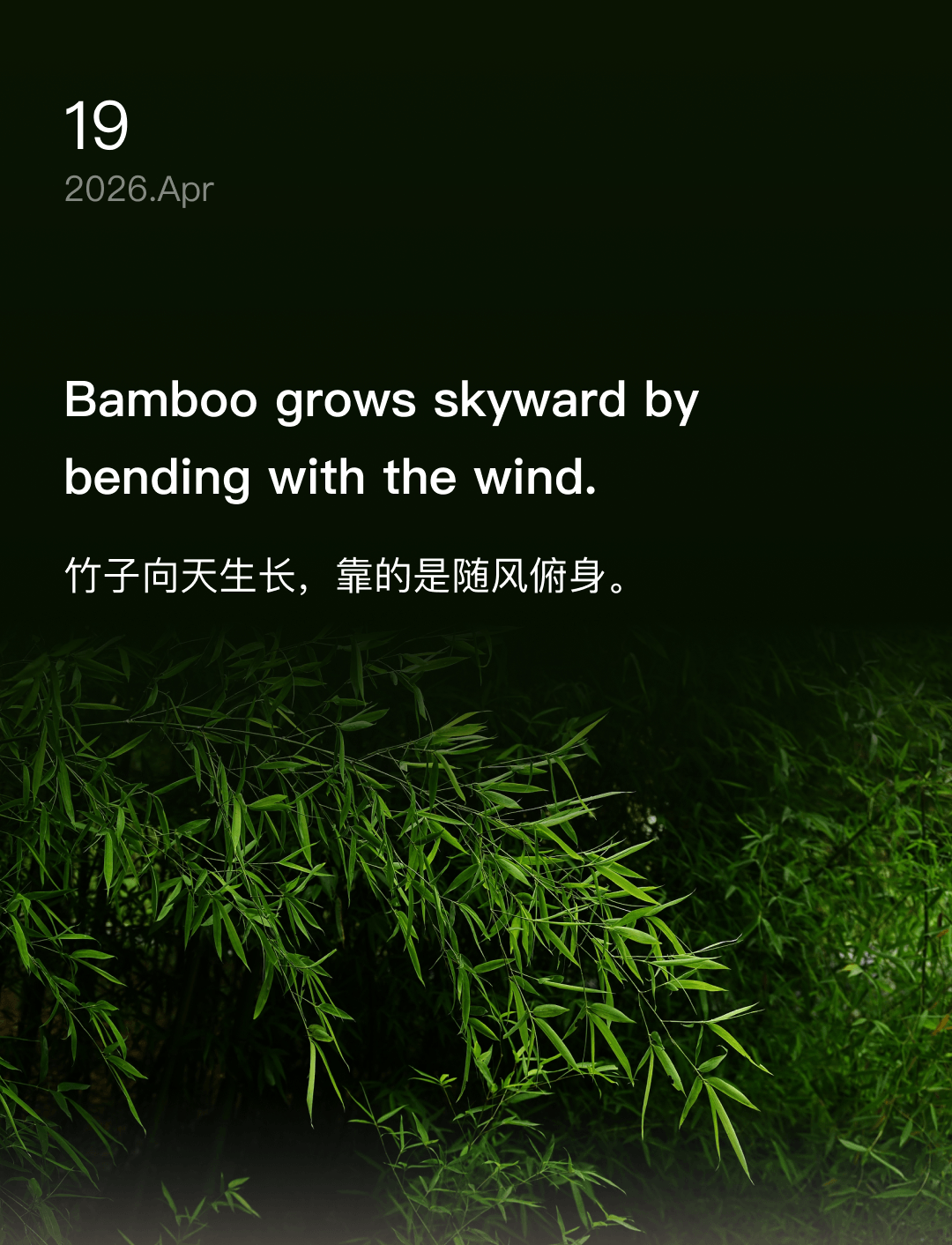 词霸每日一句
