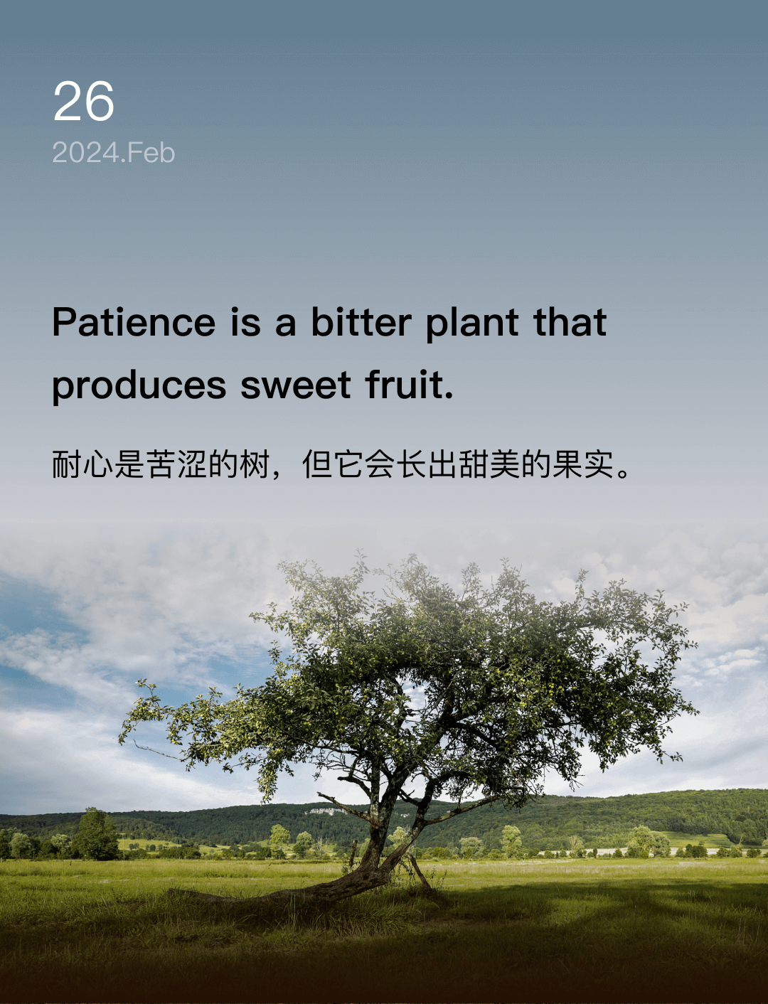 词霸每日一句