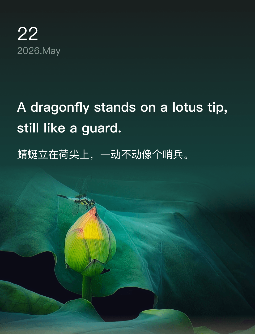 词霸每日一句
