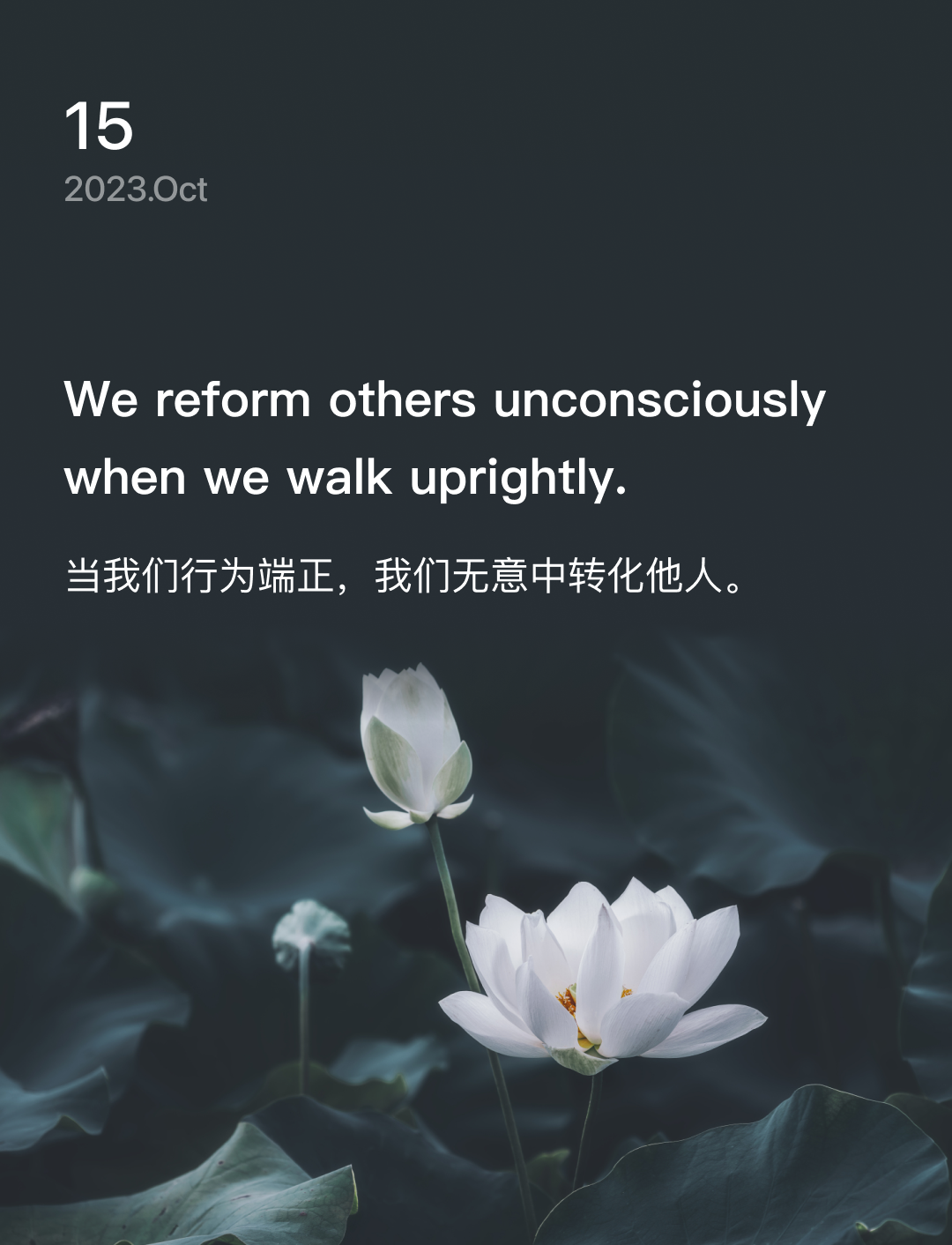 词霸每日一句