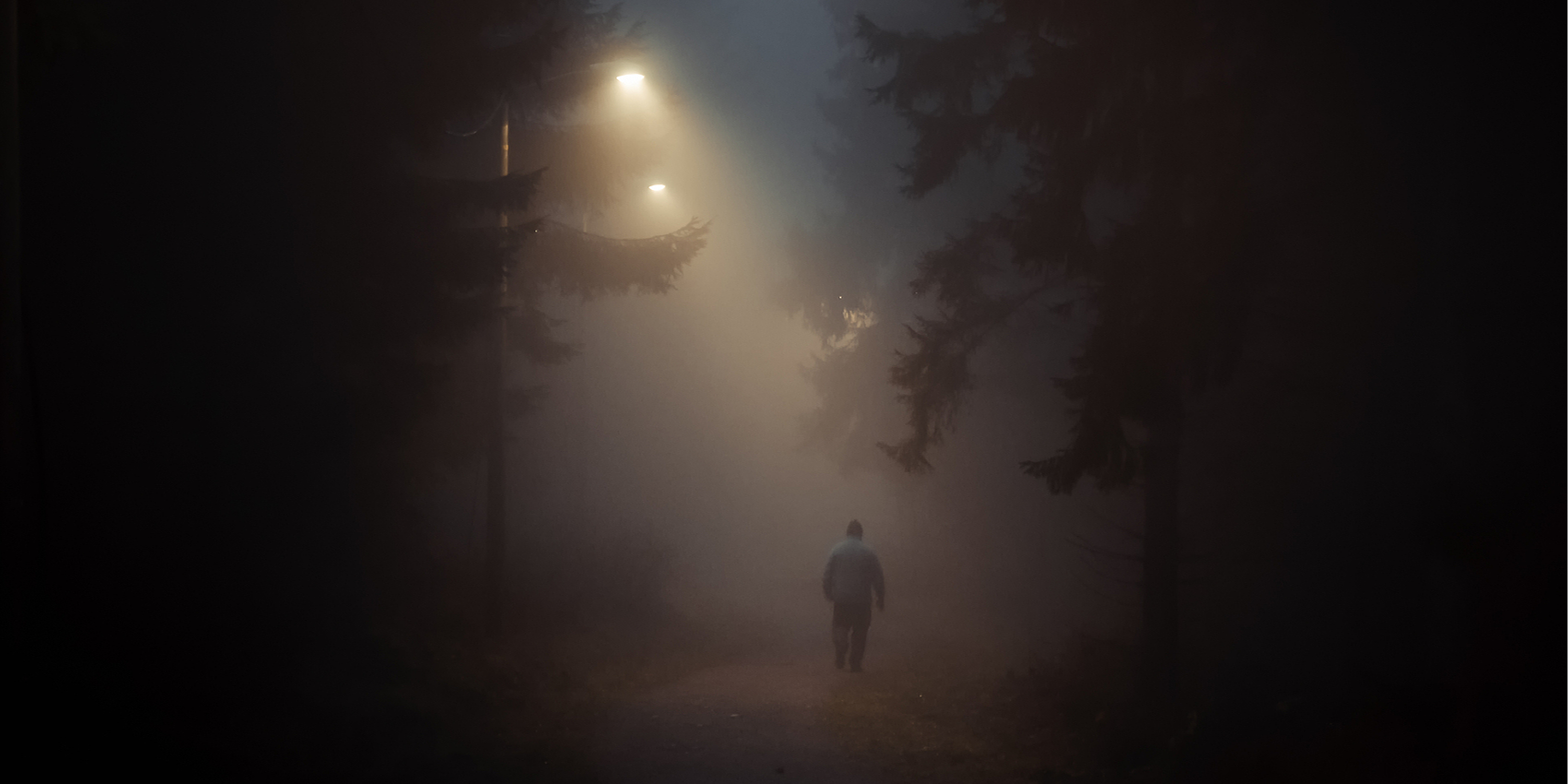 The path is made by walking, not by waiting for signs