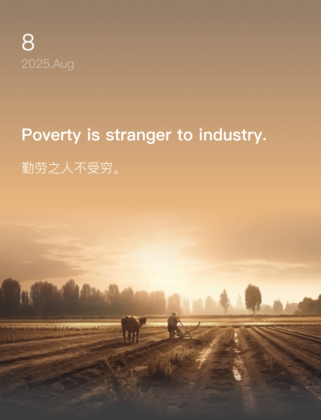词霸每日一句