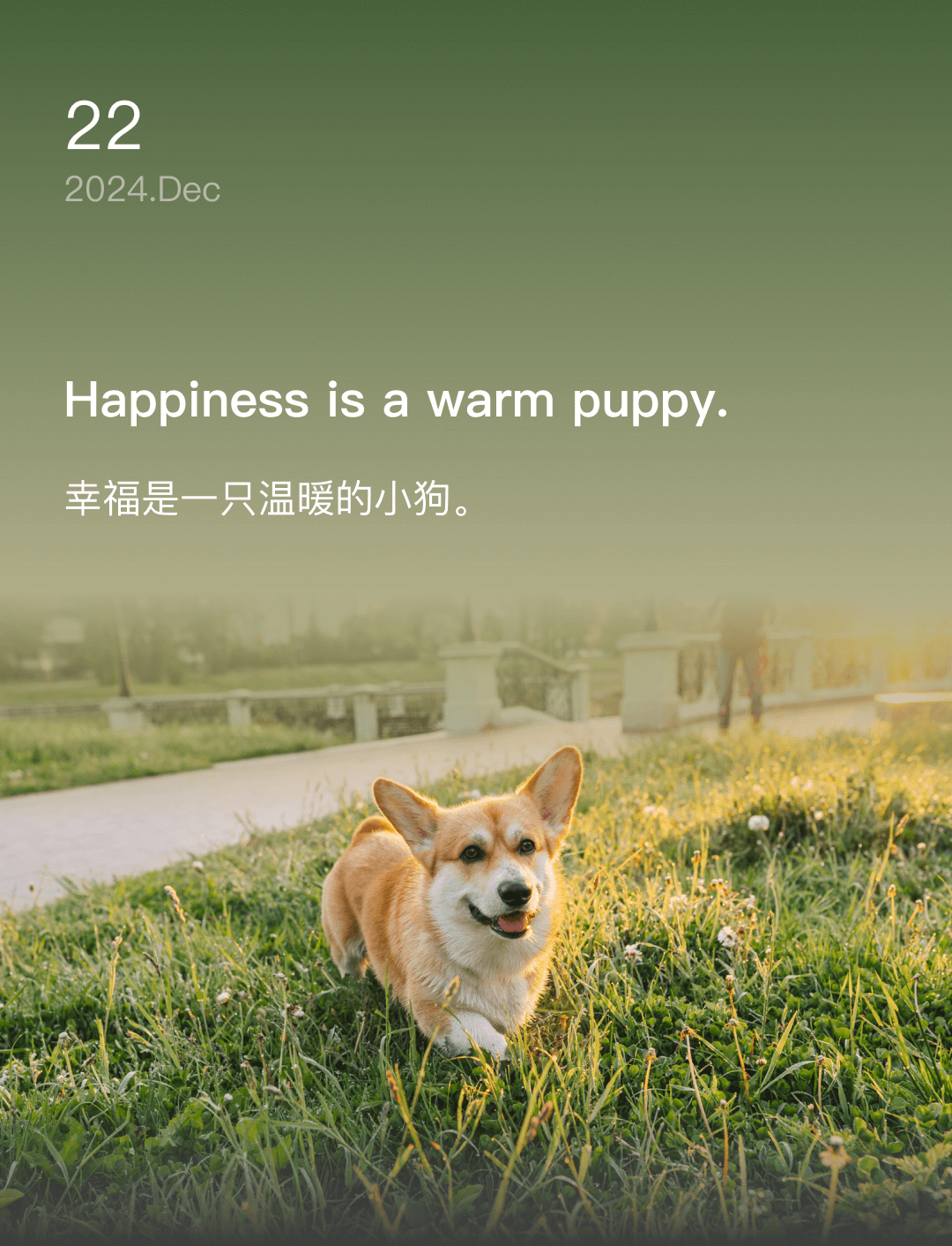 词霸每日一句