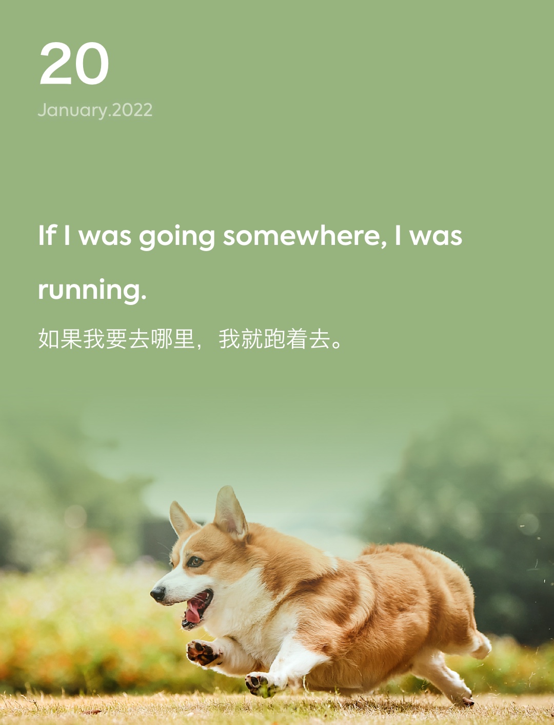词霸每日一句