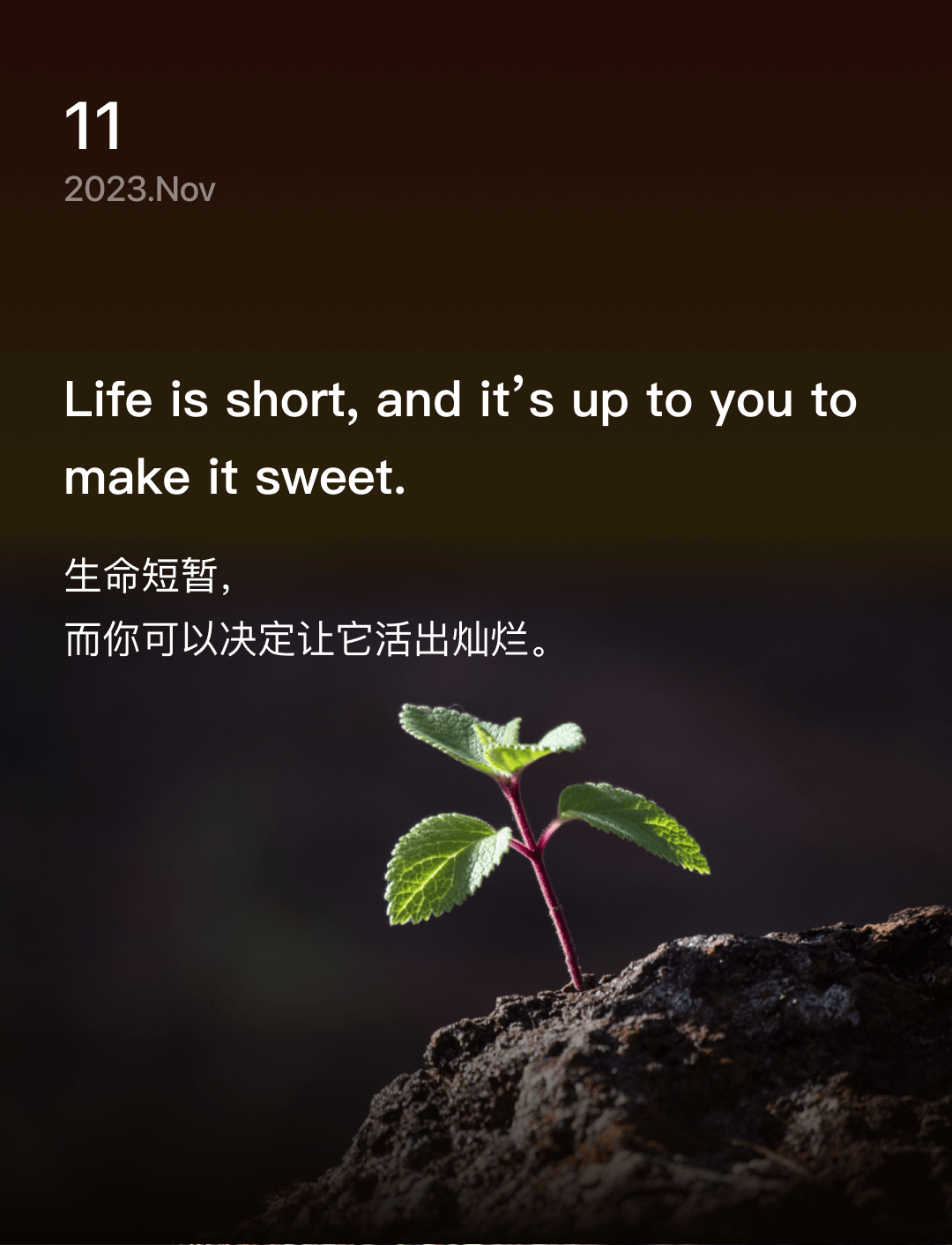 词霸每日一句
