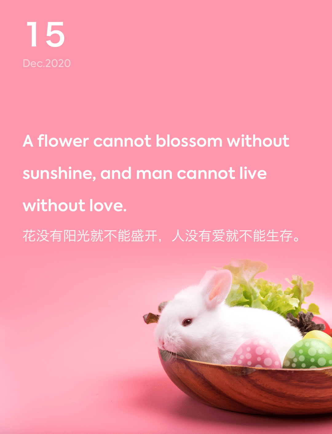 词霸每日一句