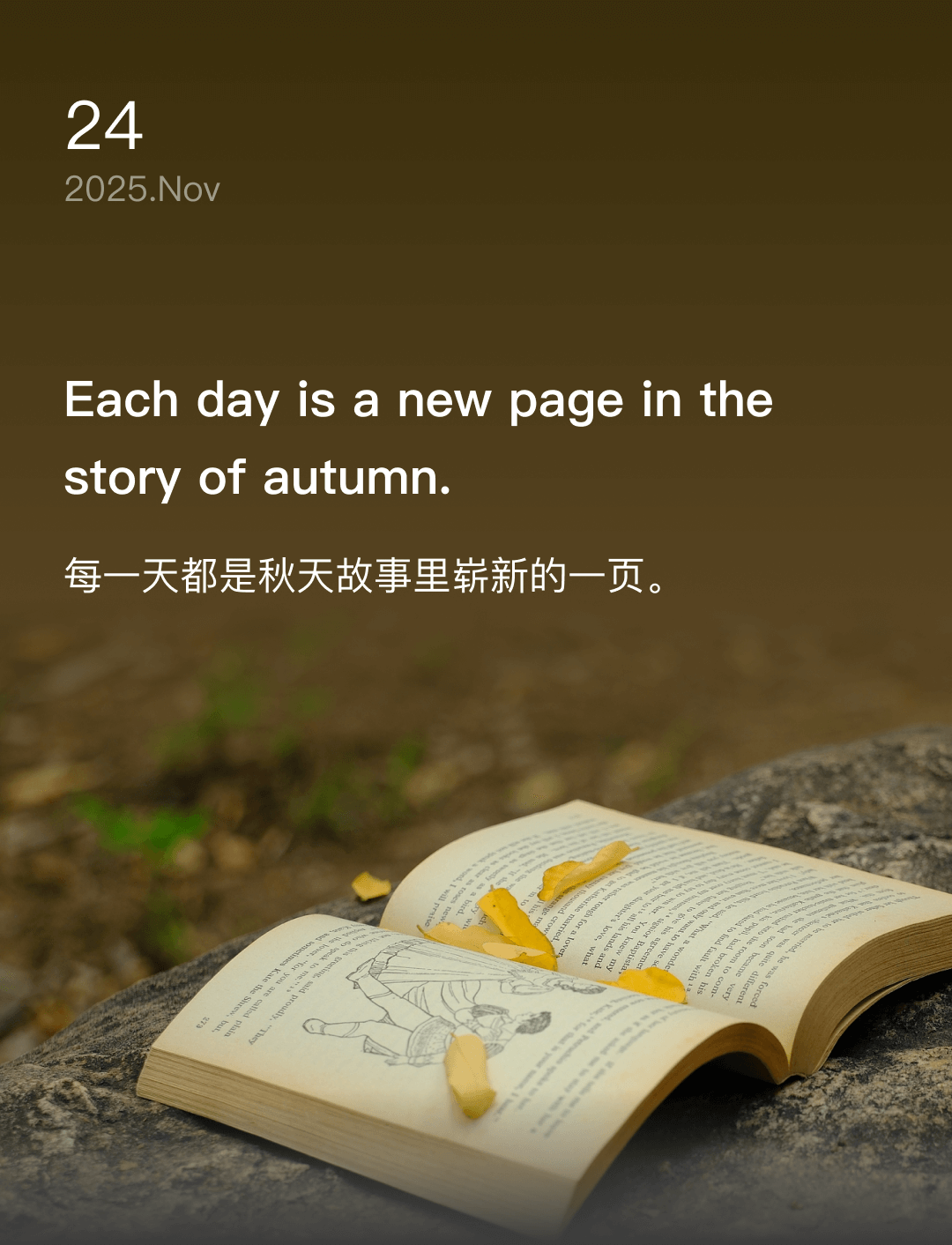 词霸每日一句