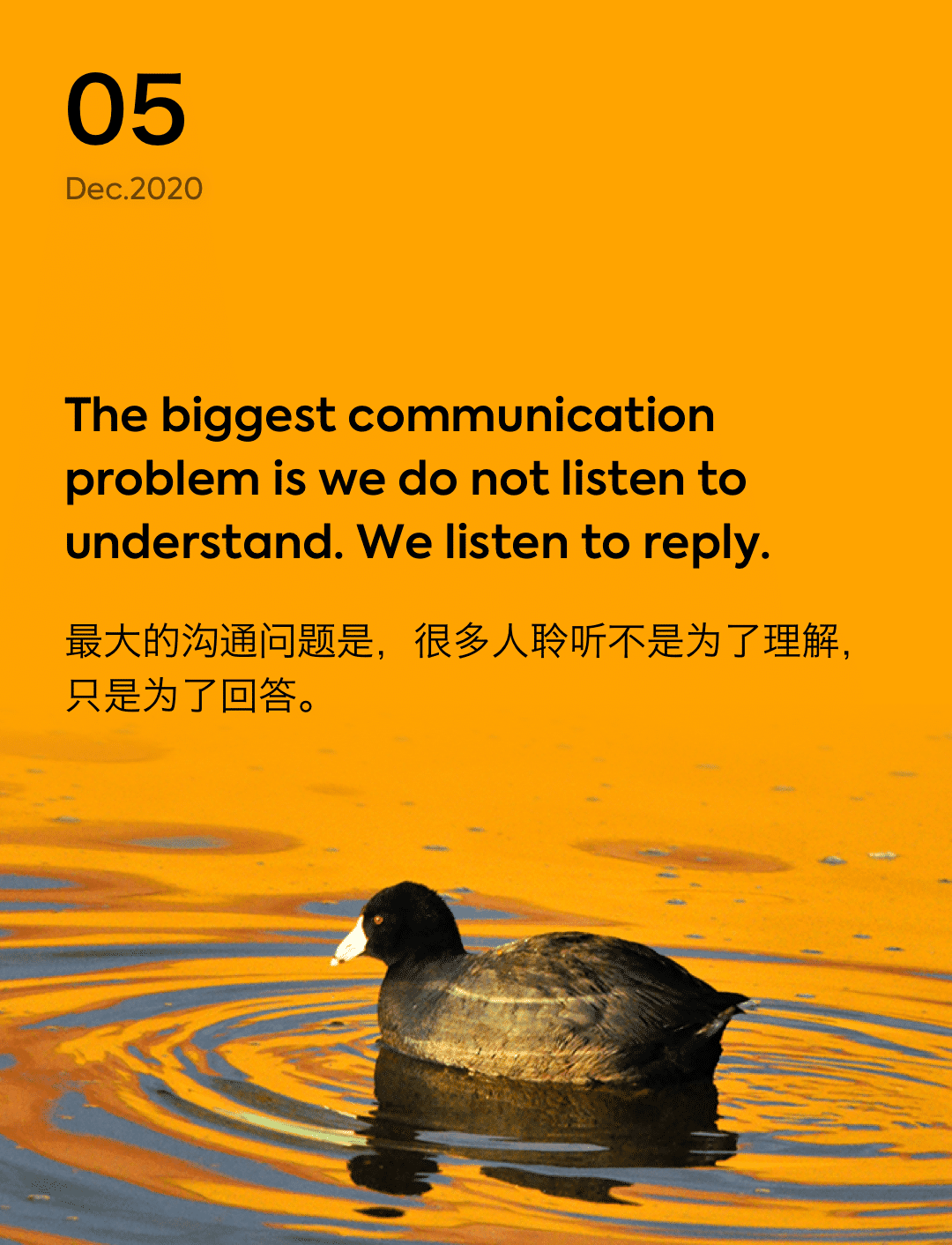 词霸每日一句