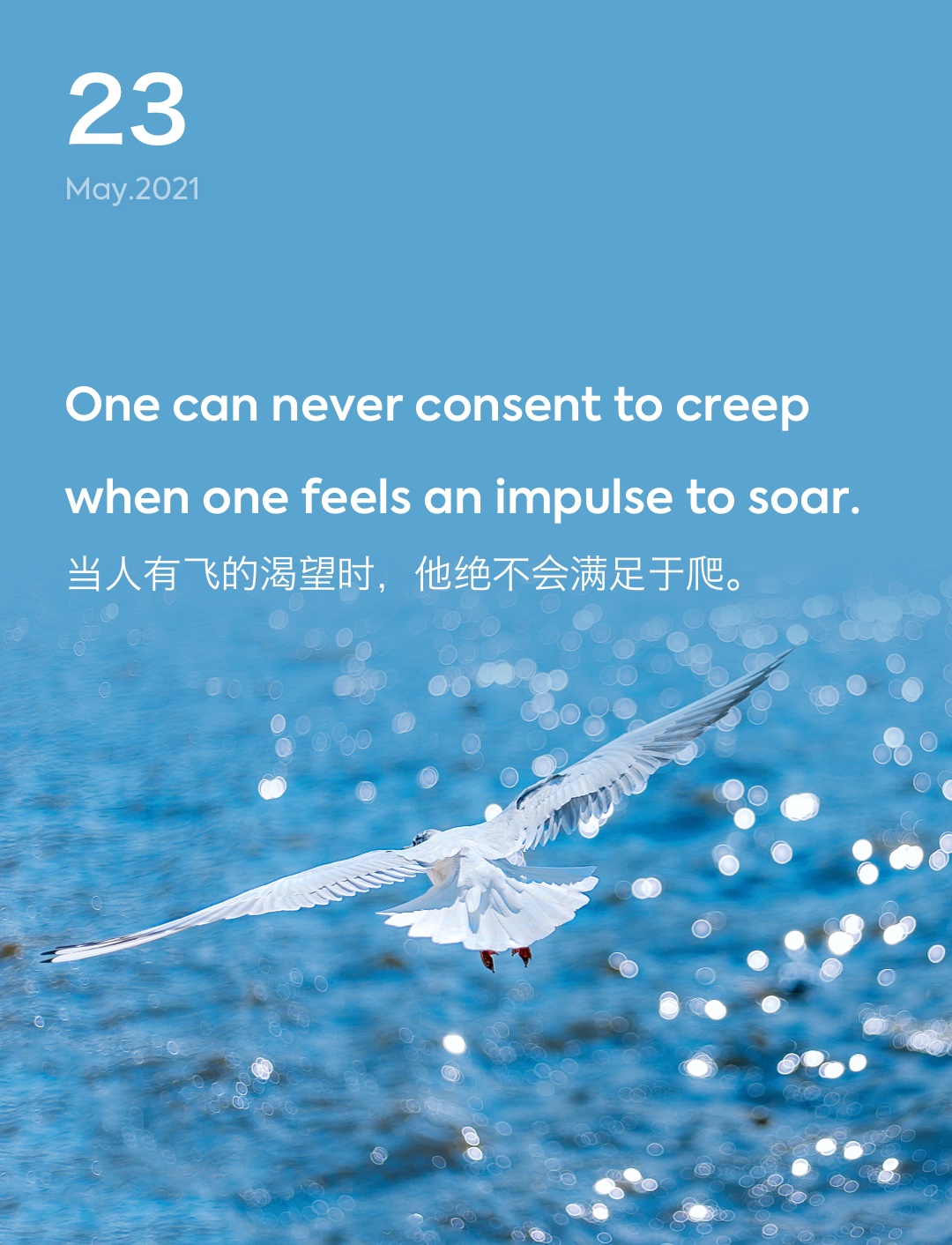 词霸每日一句