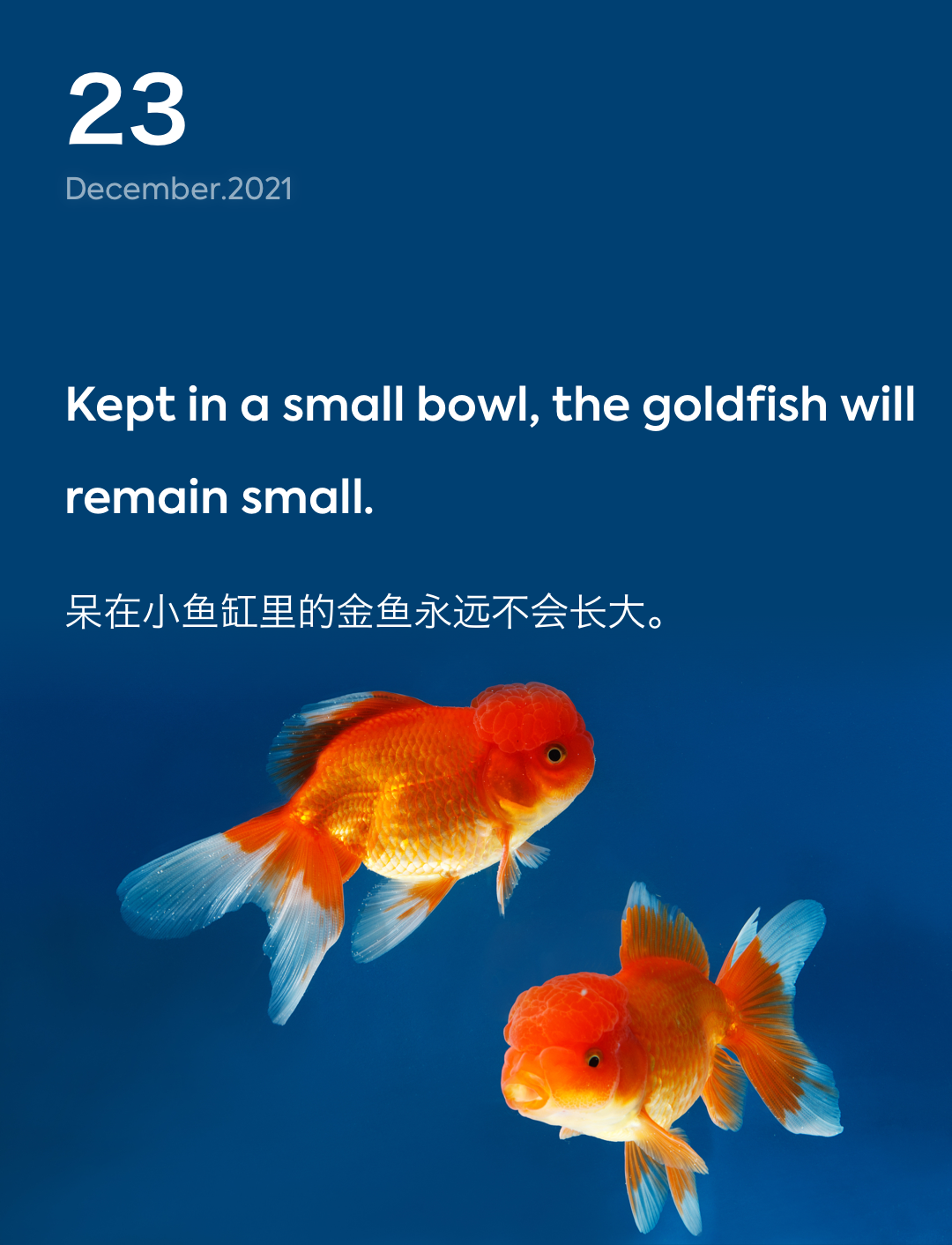 词霸每日一句