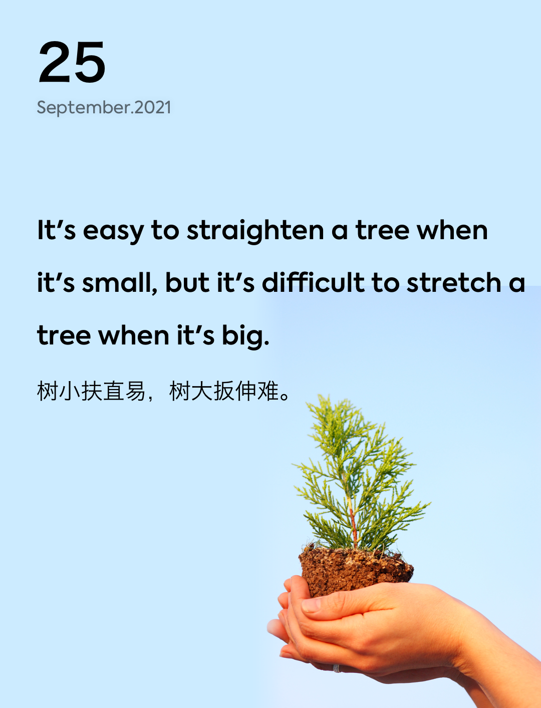 词霸每日一句