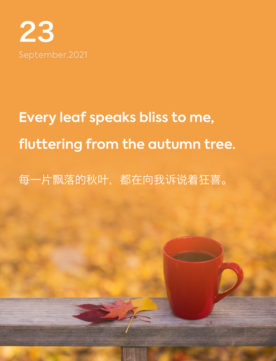 词霸每日一句