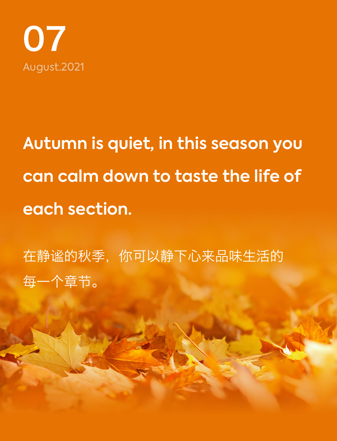 词霸每日一句