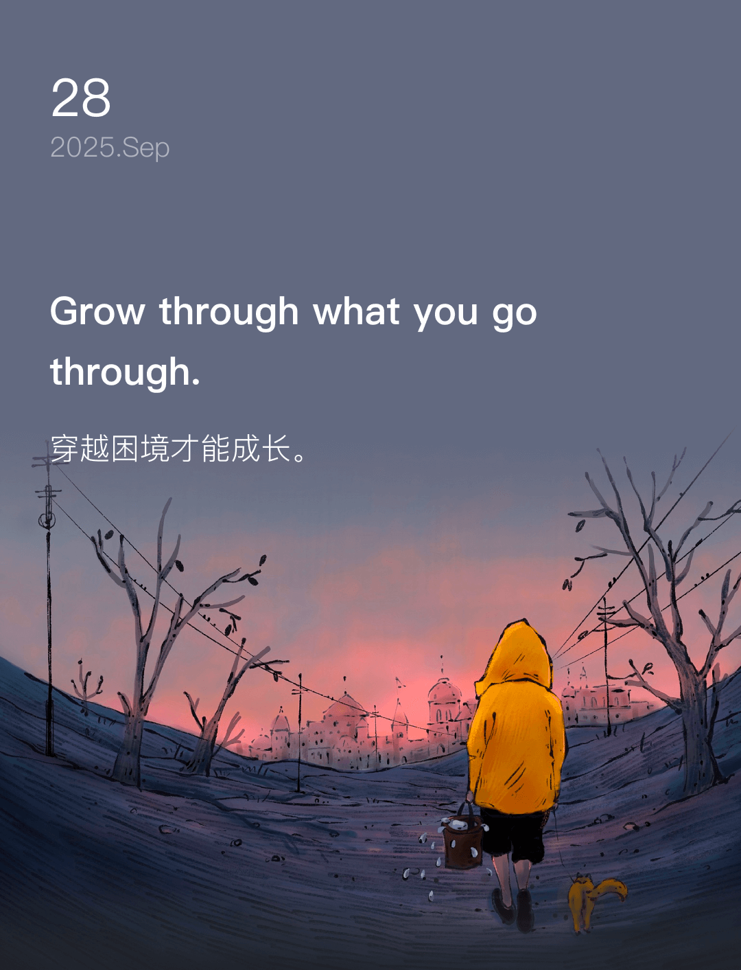 词霸每日一句