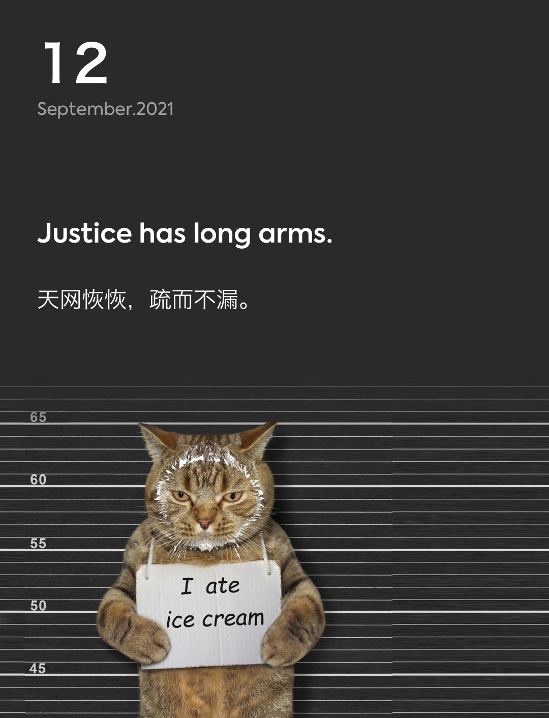 词霸每日一句