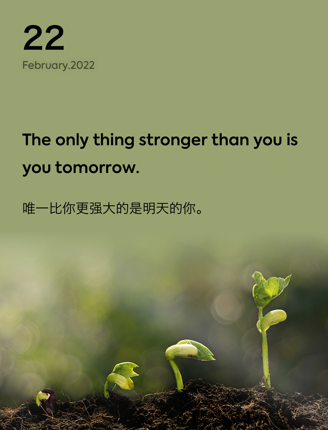 词霸每日一句