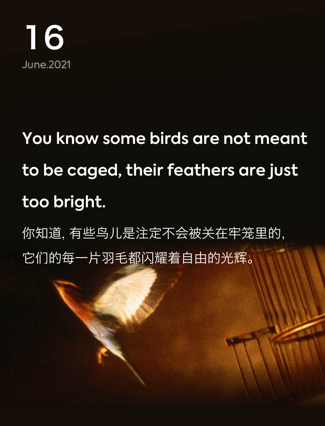 词霸每日一句