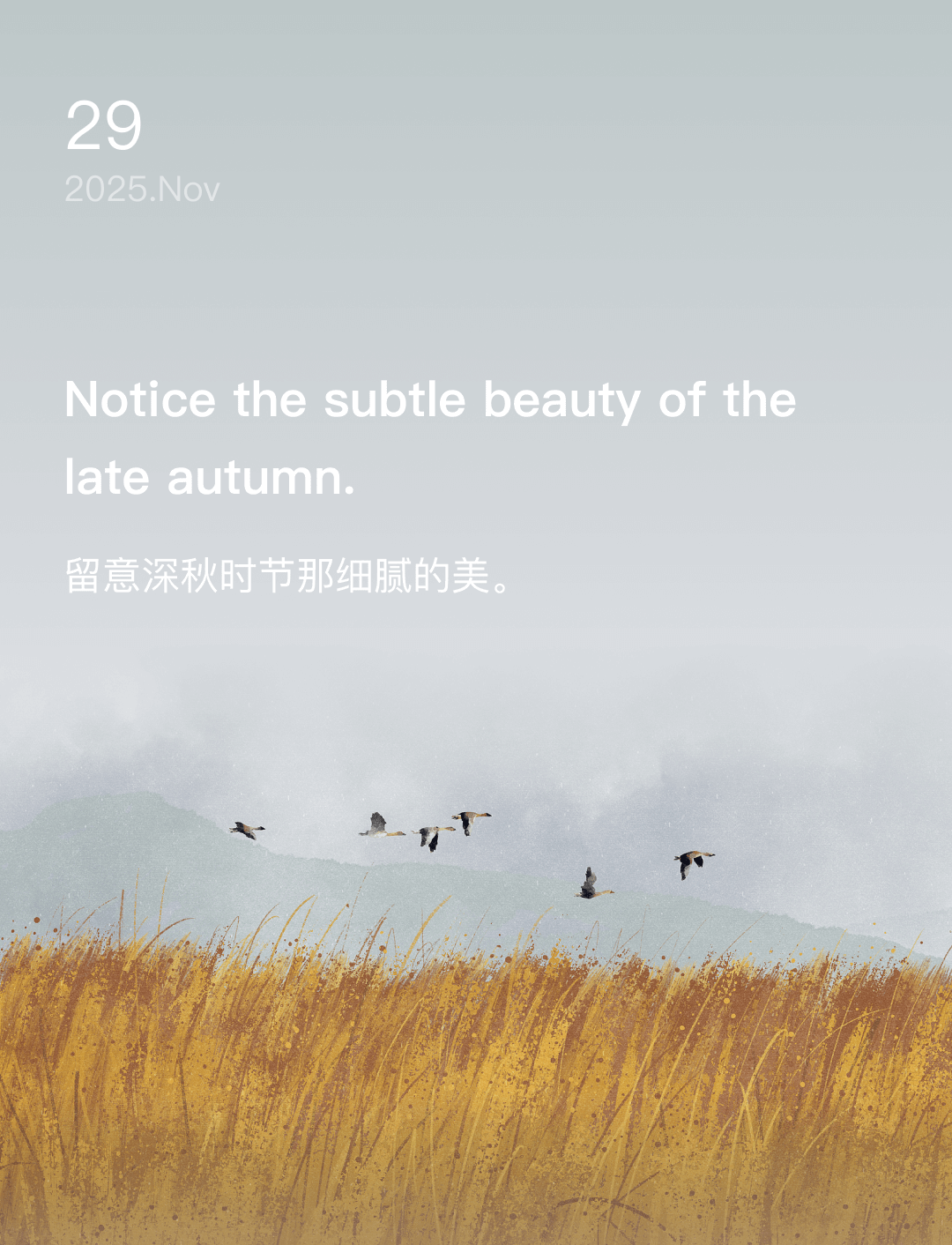 词霸每日一句