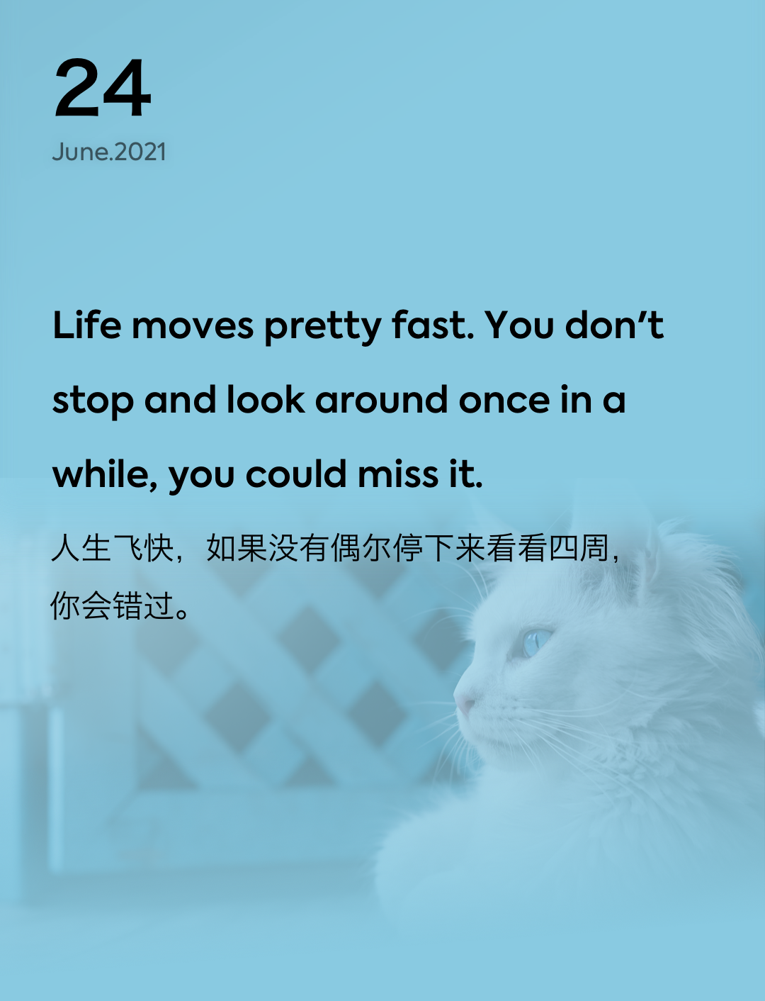 词霸每日一句