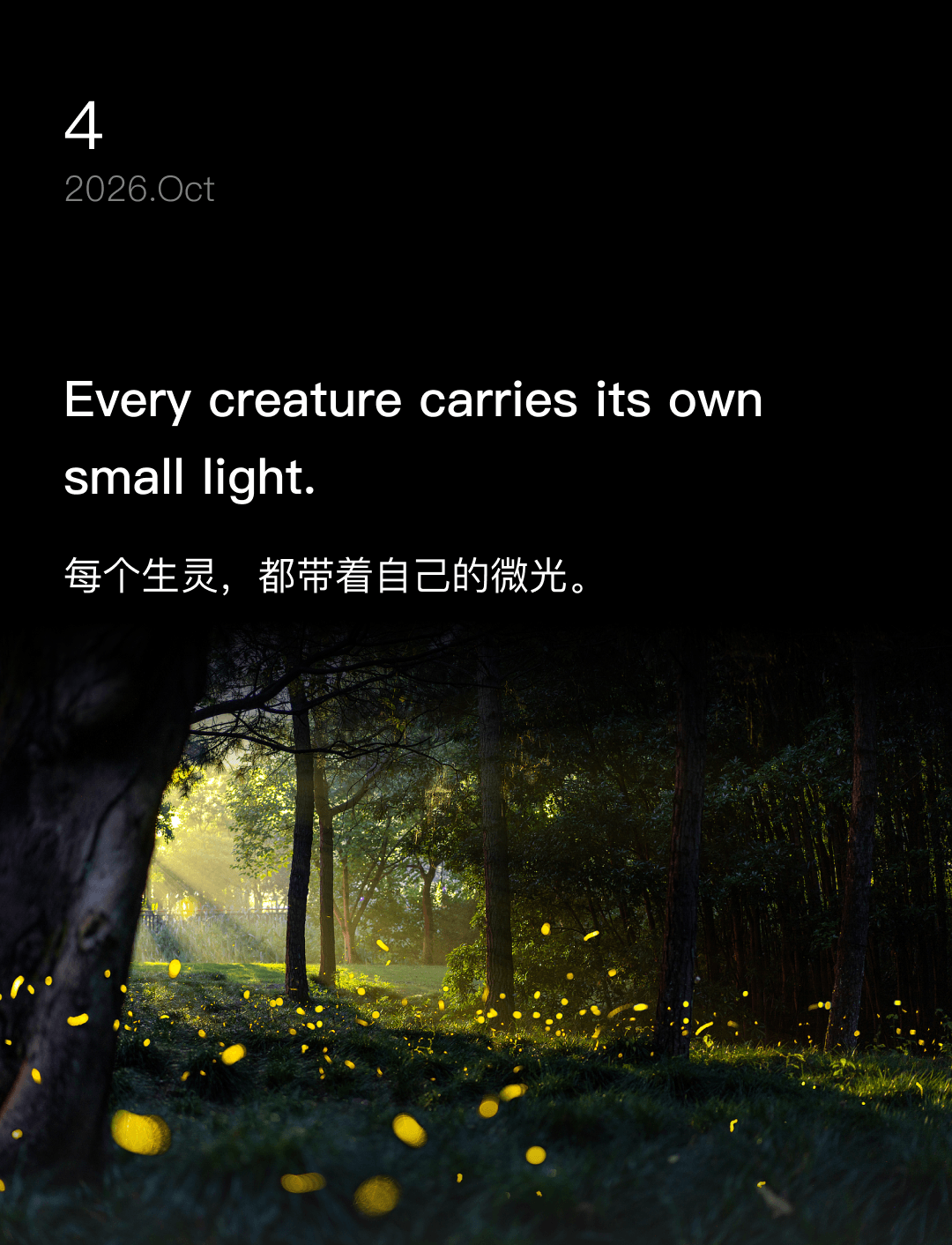 词霸每日一句