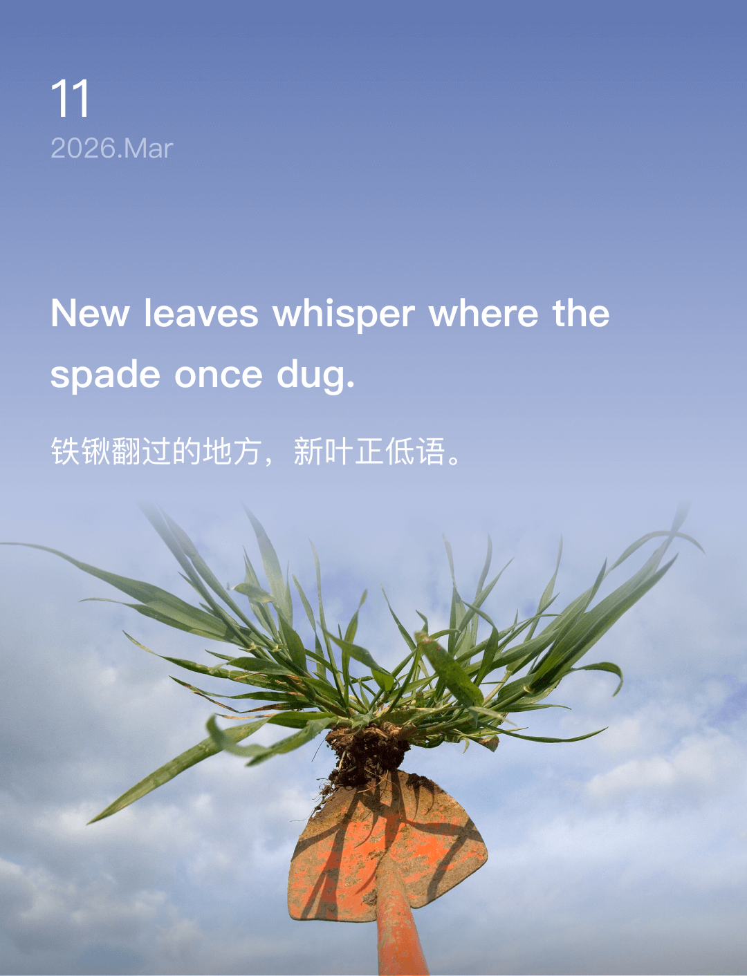 词霸每日一句