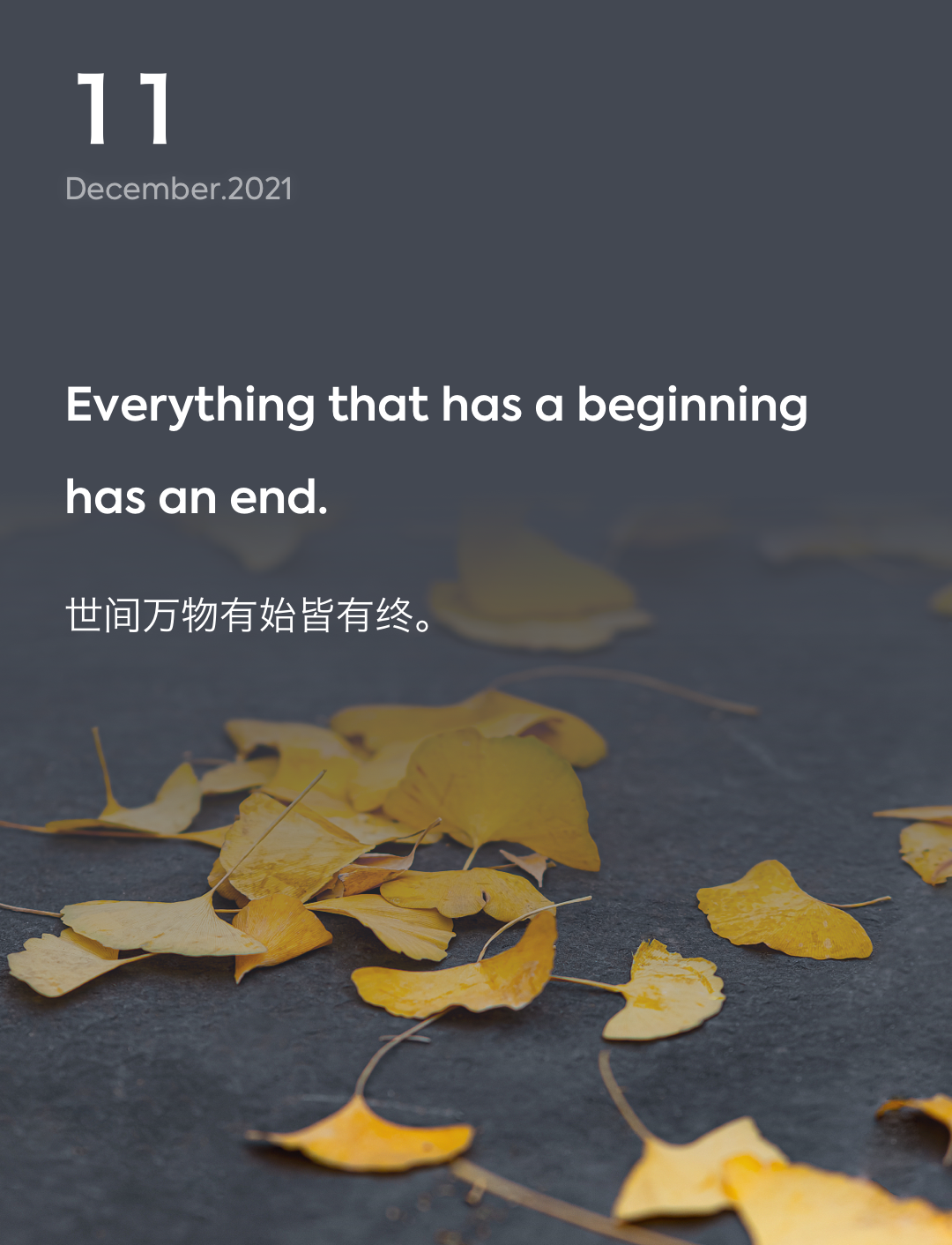 词霸每日一句