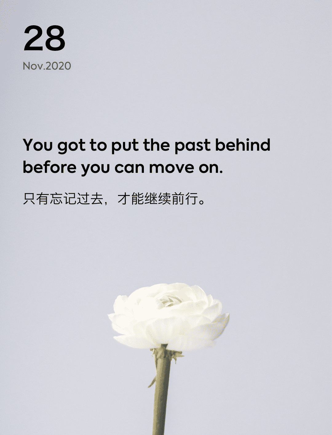 词霸每日一句