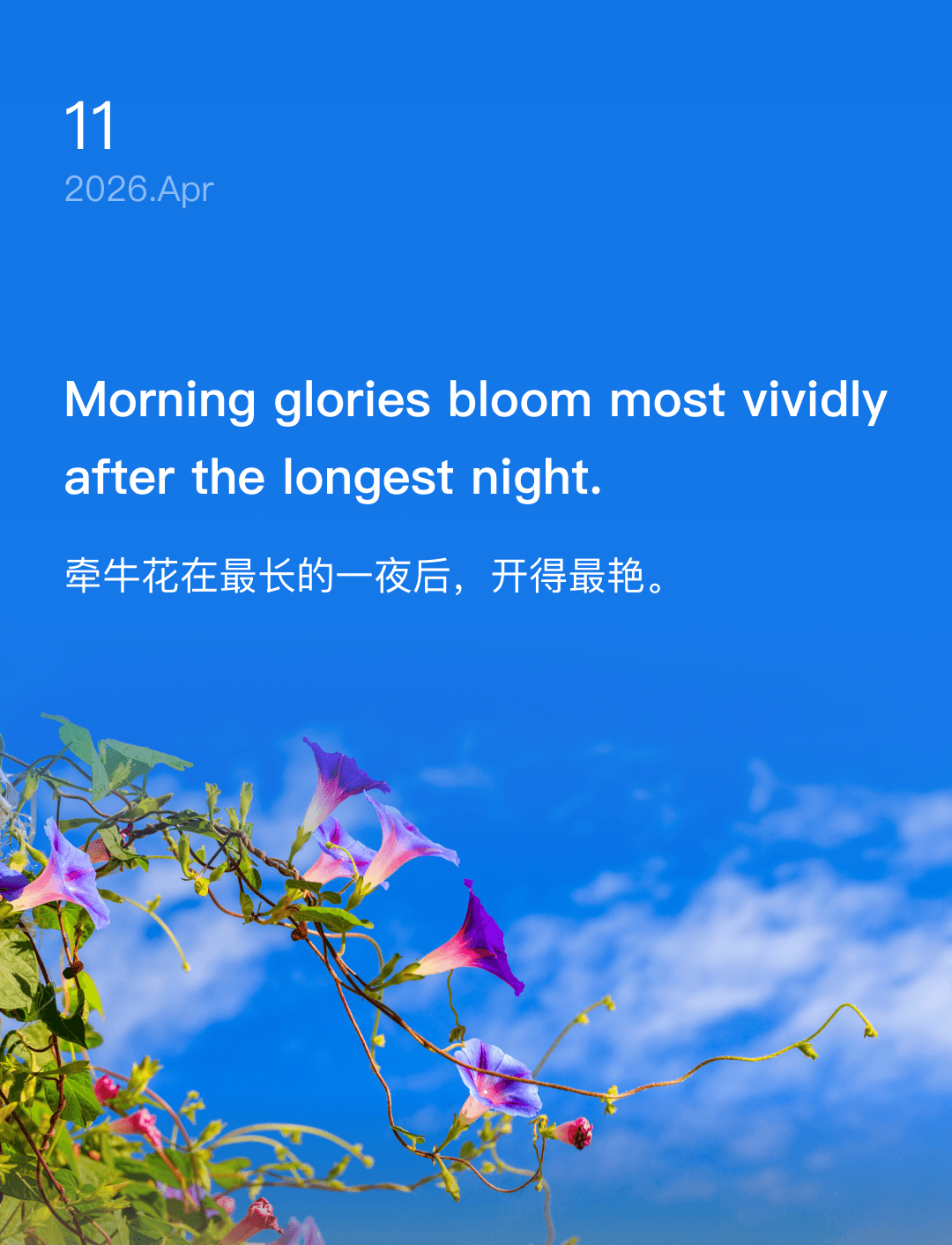 词霸每日一句