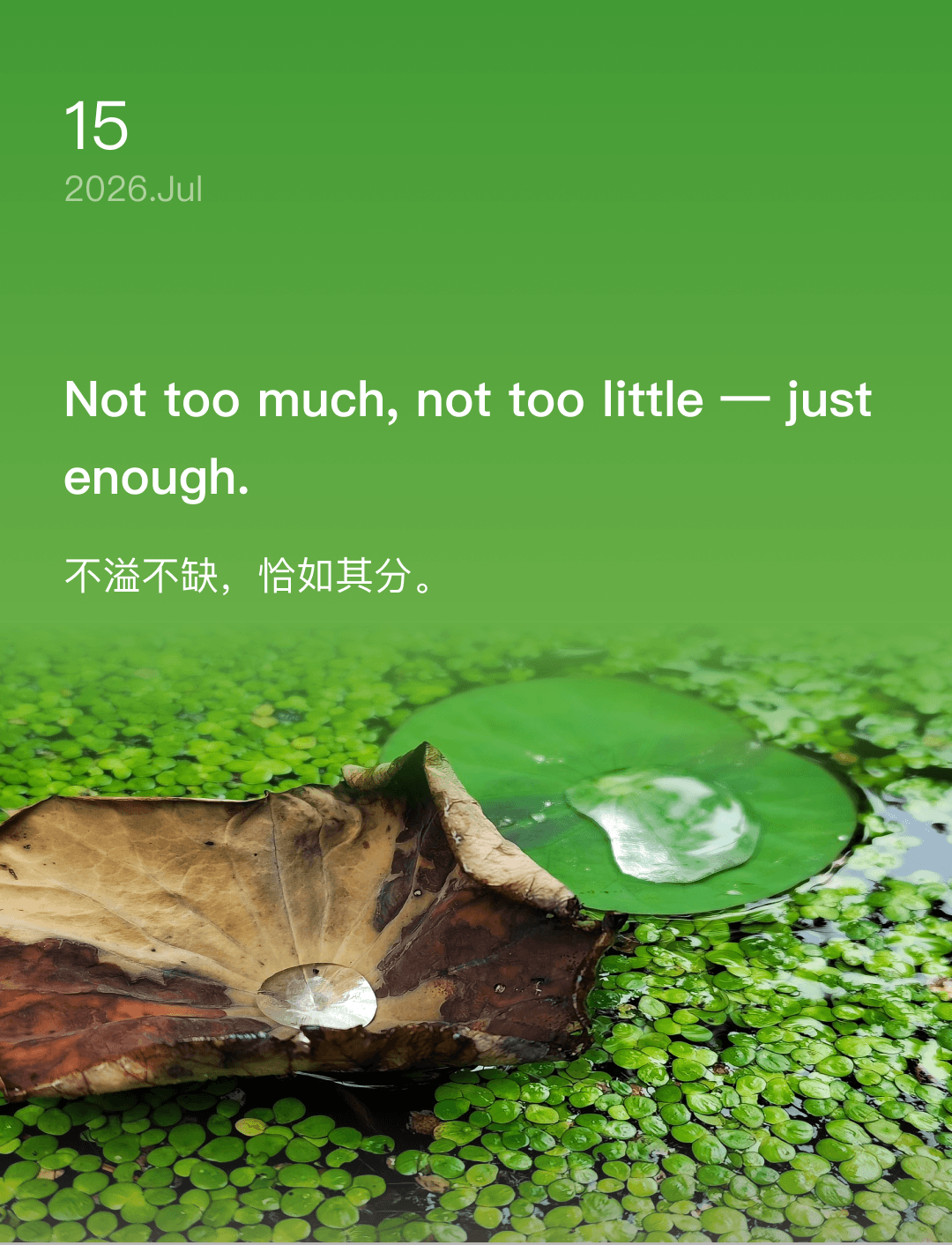 Not too much, not too little — just enough.