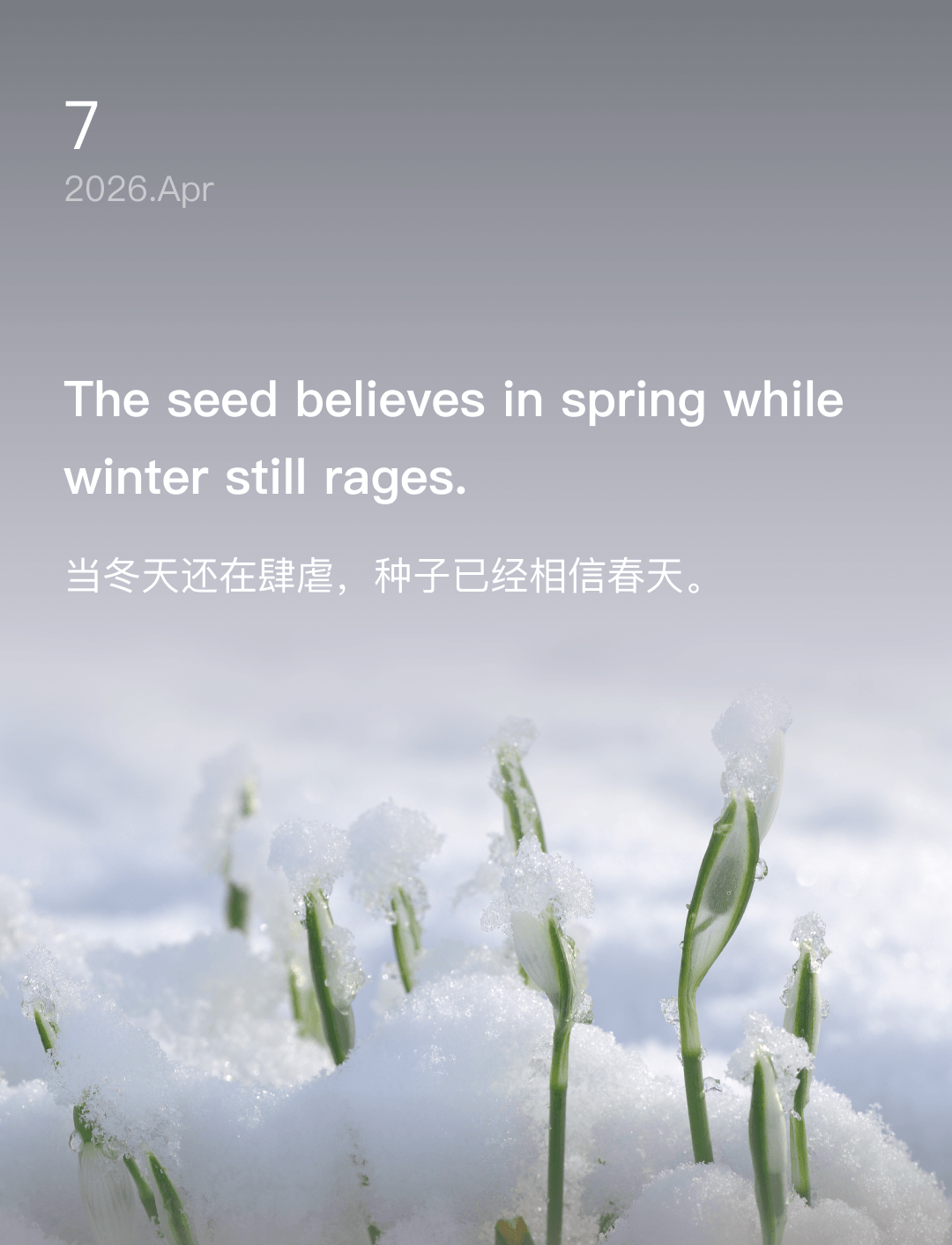 词霸每日一句