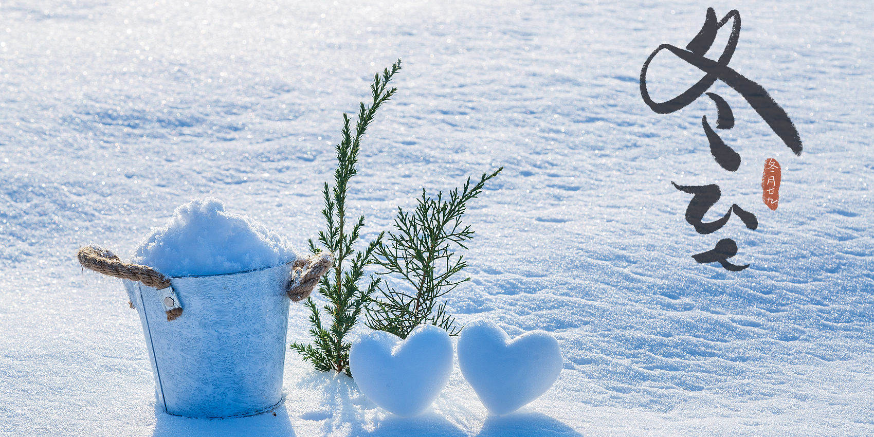 「2025-12-21」The nights grow shorter from this day onward, the days grow longer from this day onward.美图壁纸