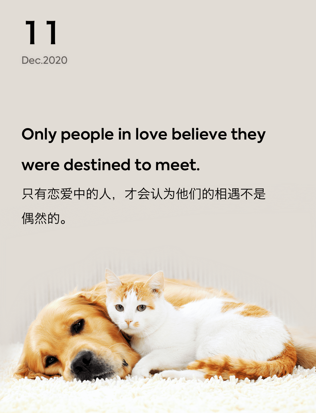词霸每日一句